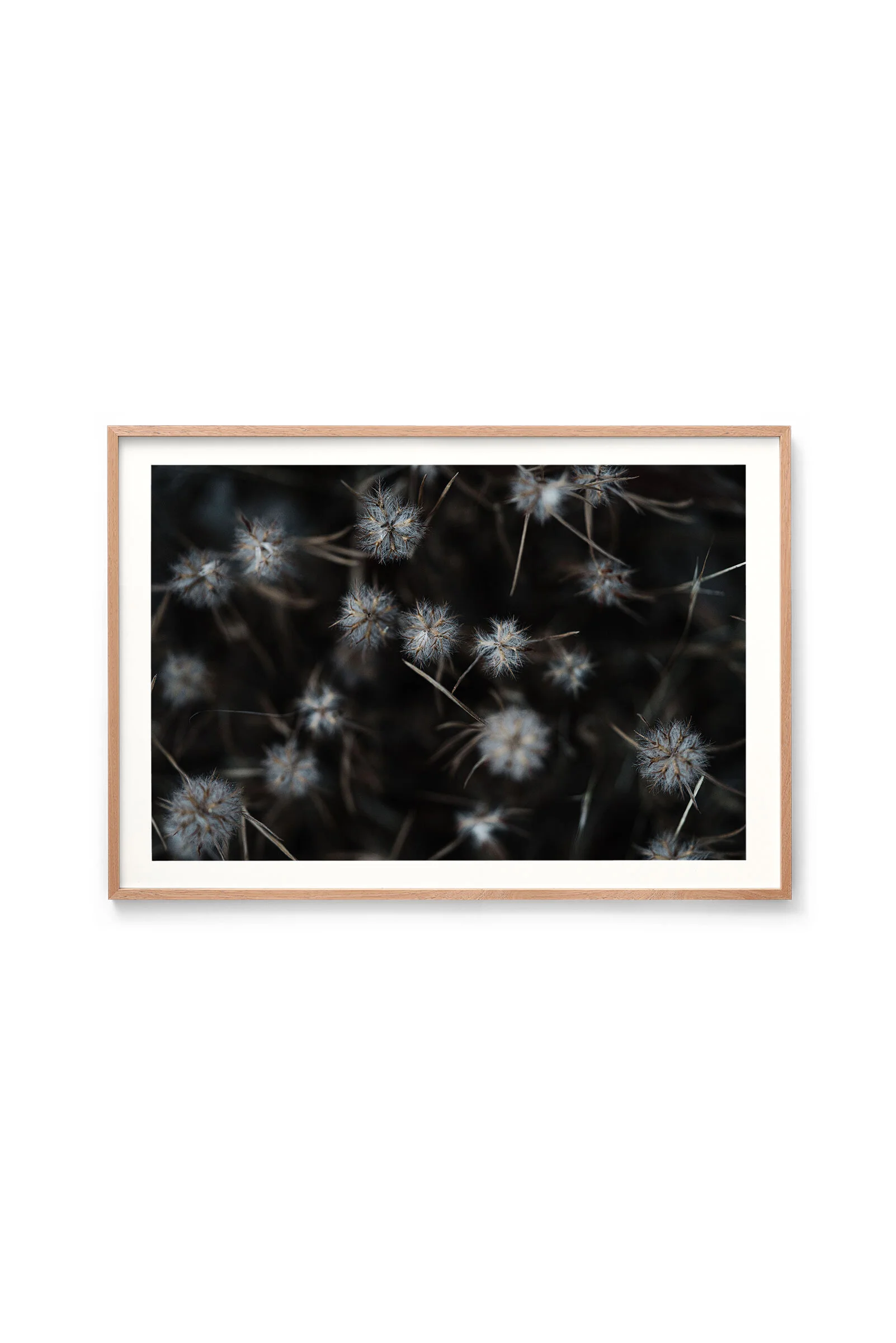 A Floral Starburst print in an oak frame, landscape orientation