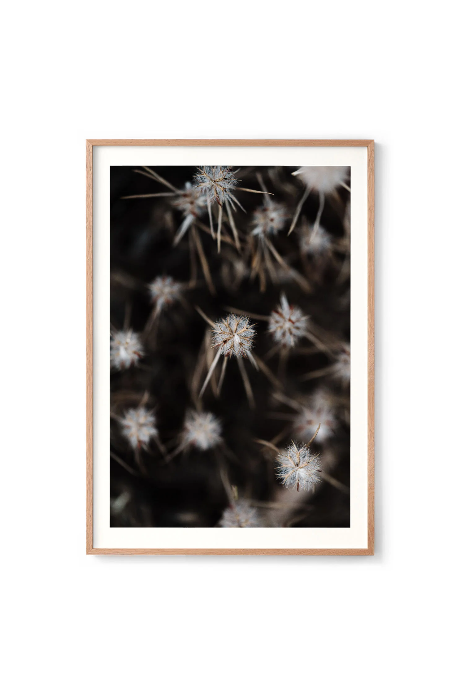 A Floral Starburst print in an oak frame, portrait orientation