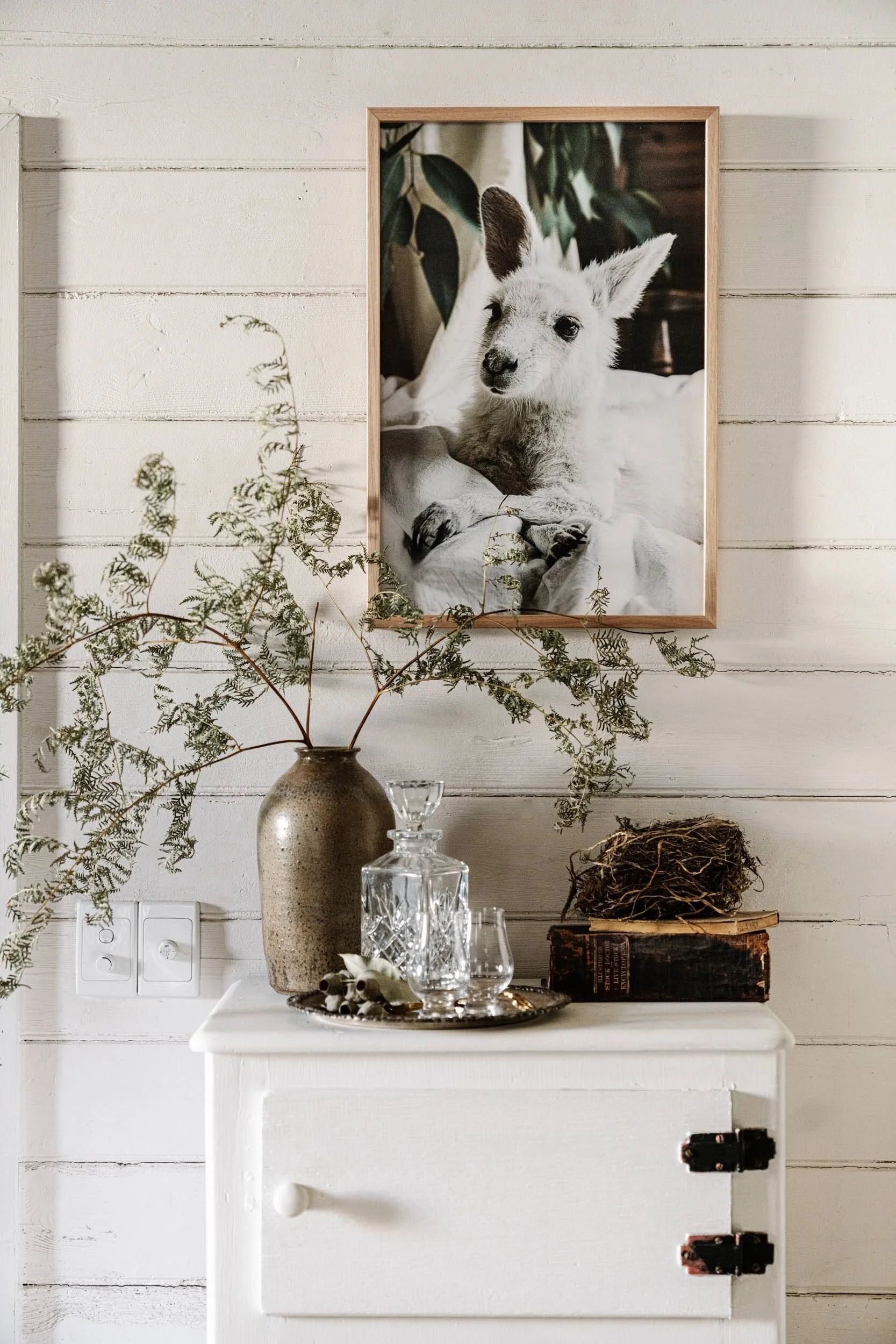 Angel the white kangaroo print on a white cabinet