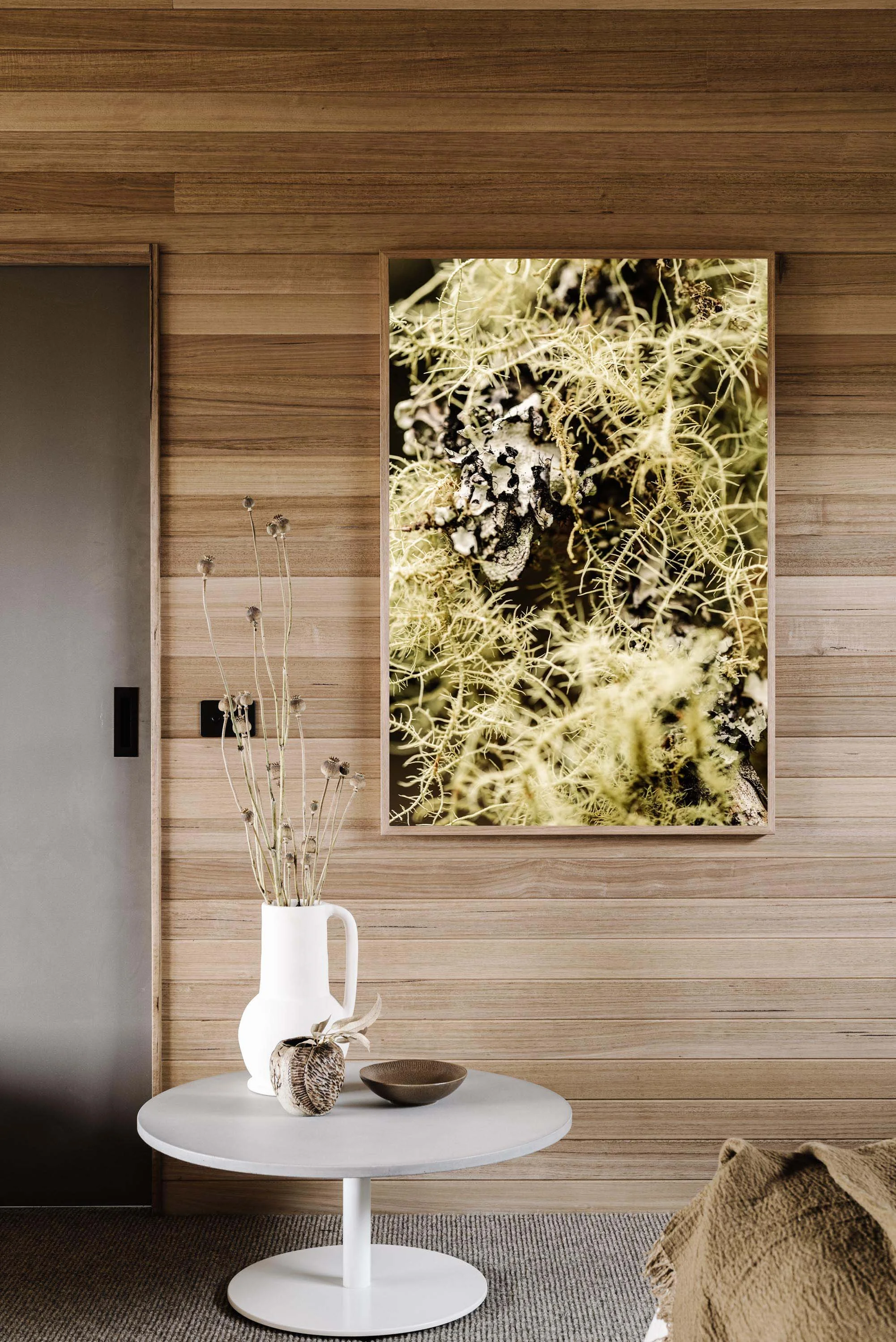 Moss of north-eastern Tasmania print in a timber-lined room