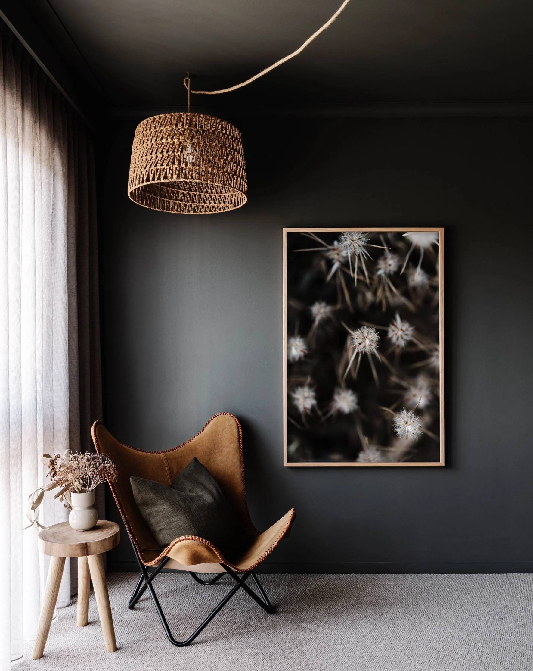 Framed wall print of a spiky flower in South Australia by Marnie Hawson