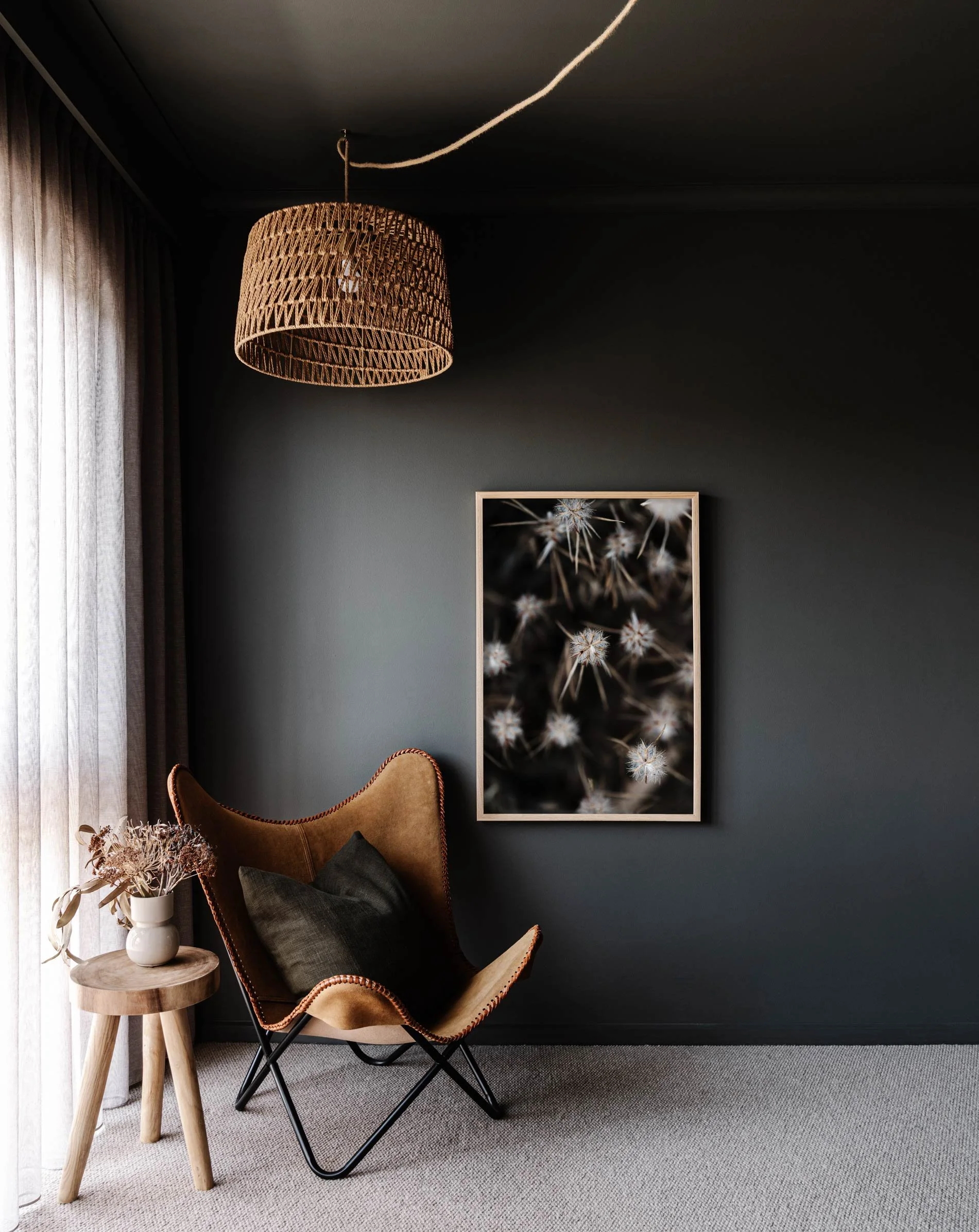 Framed wall print of a spiky flower in South Australia by Marnie Hawson