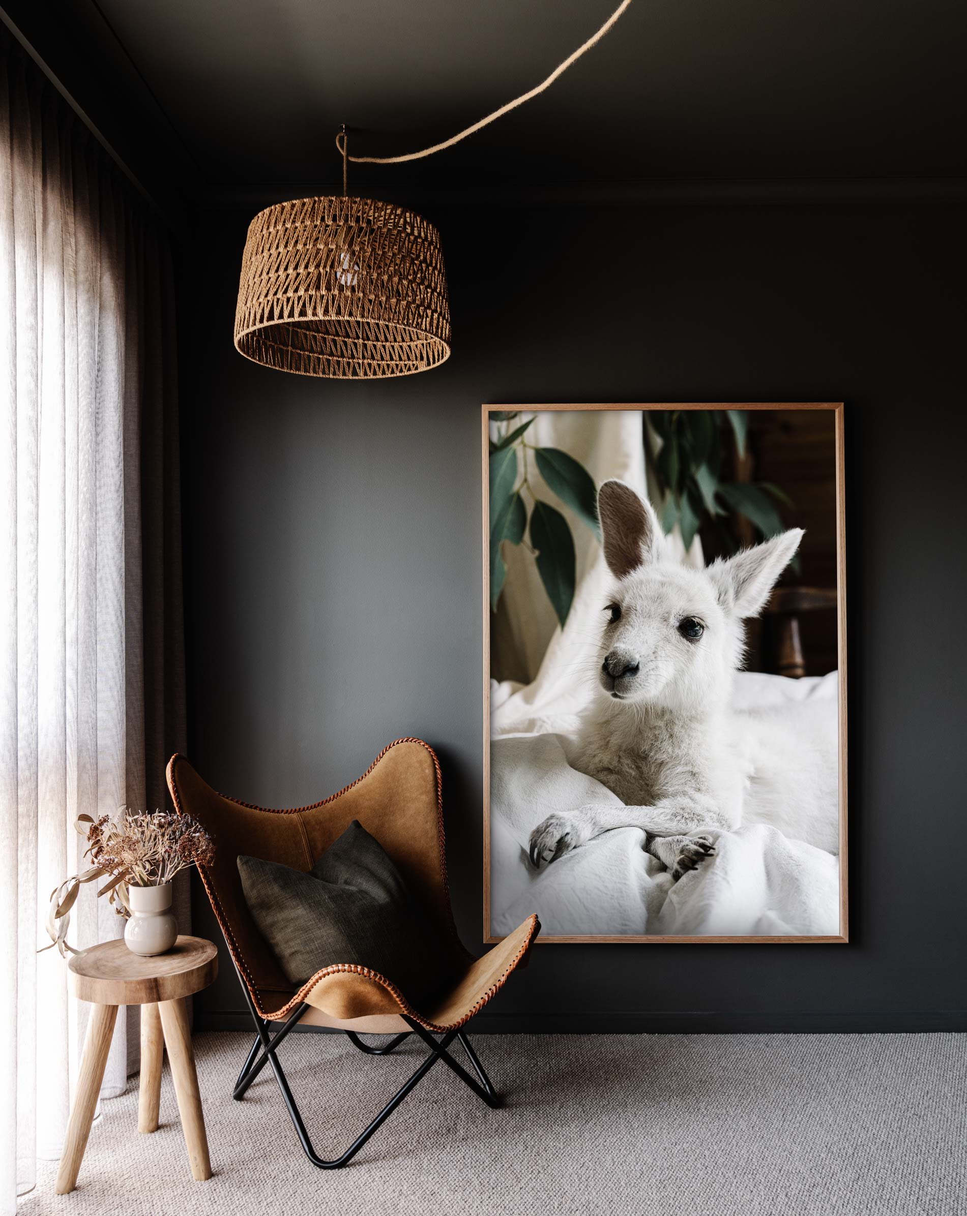 Framed wall print of Angel the Kangaroo for Prints for Wildlife by Marnie Hawson