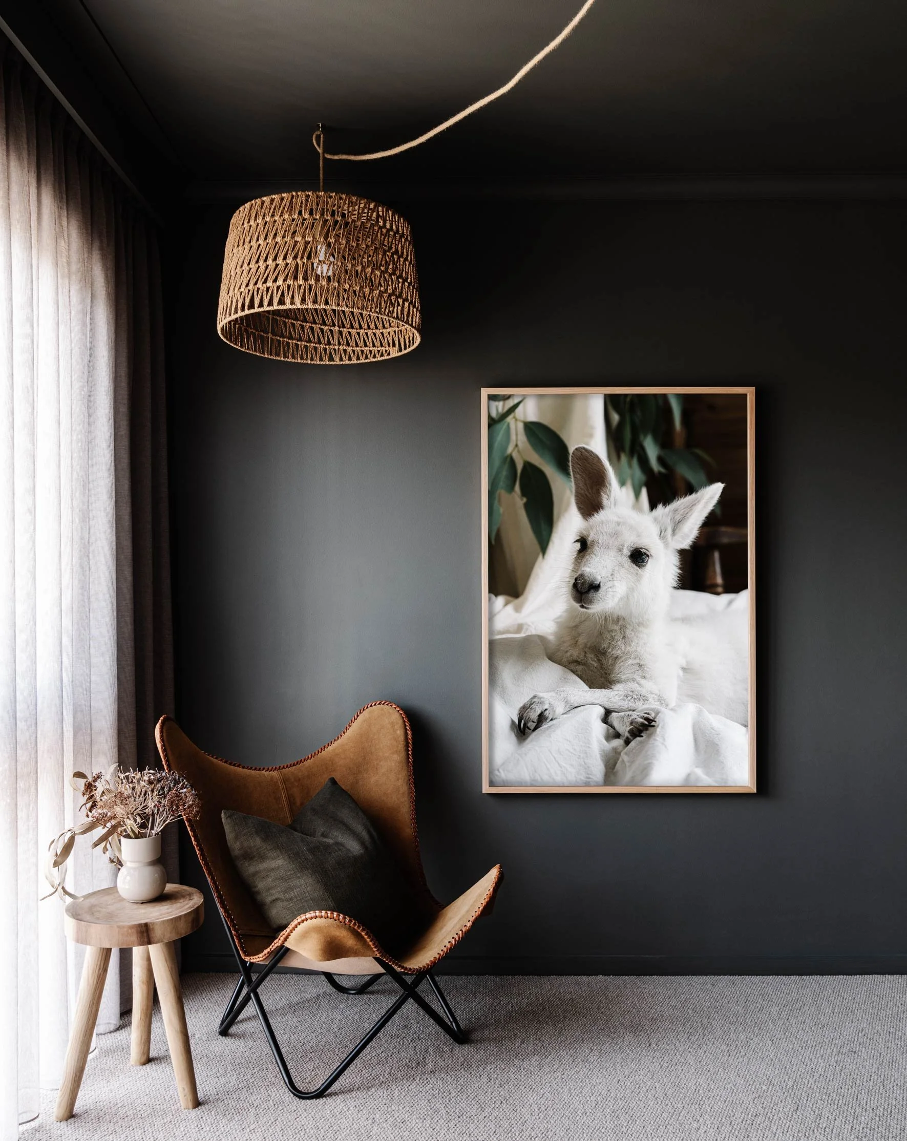 Framed wall print of Angel the Kangaroo for Prints for Wildlife by Marnie Hawson