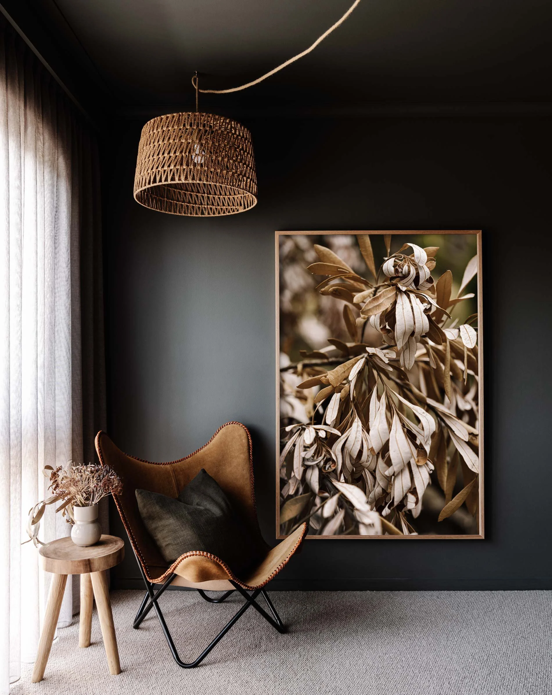 Framed wall print of dried banksias by Marnie Hawson
