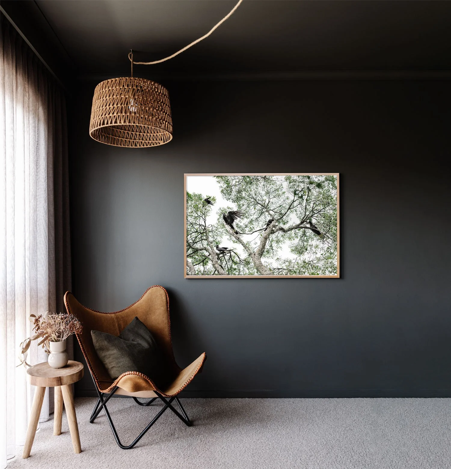 Framed wall print of Black Cockatoos in Daylesford by Marnie Hawson