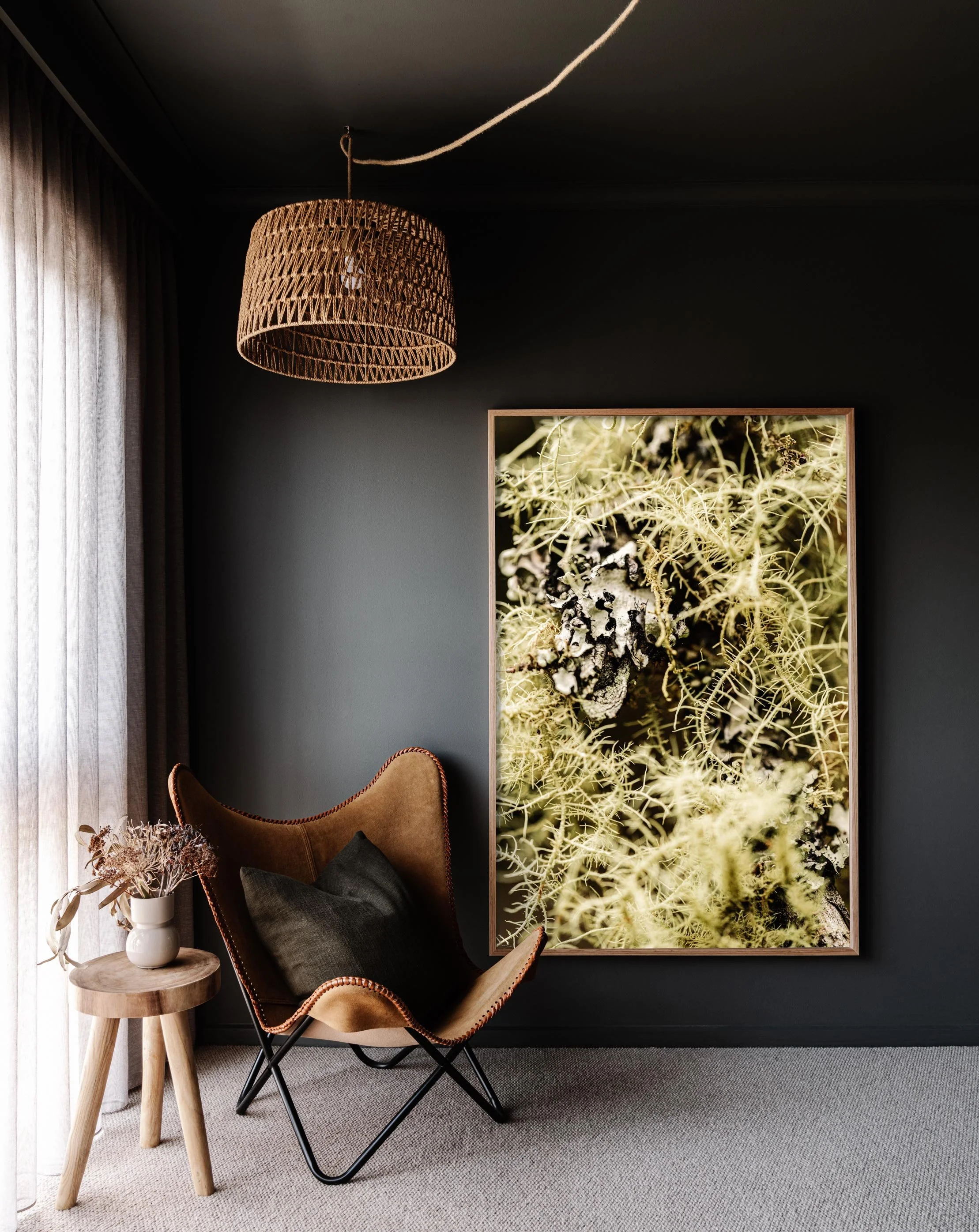 Framed wall print of moss in Tasmania by Marnie Hawson