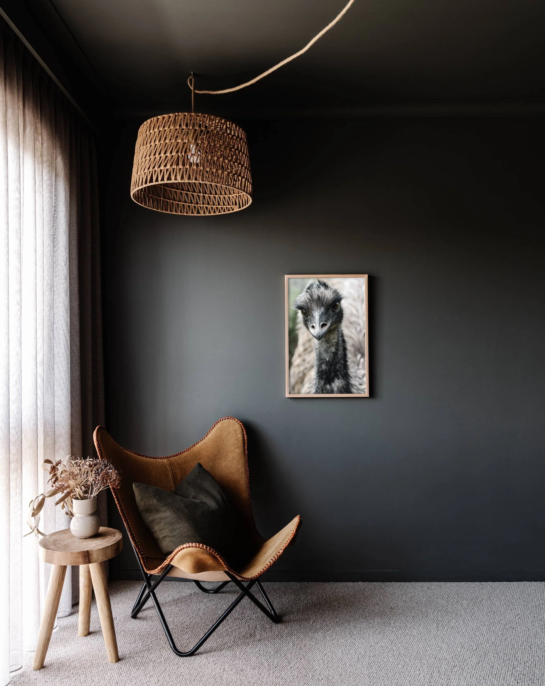 Medium Alma the emu print on a dark wall above a leather chair