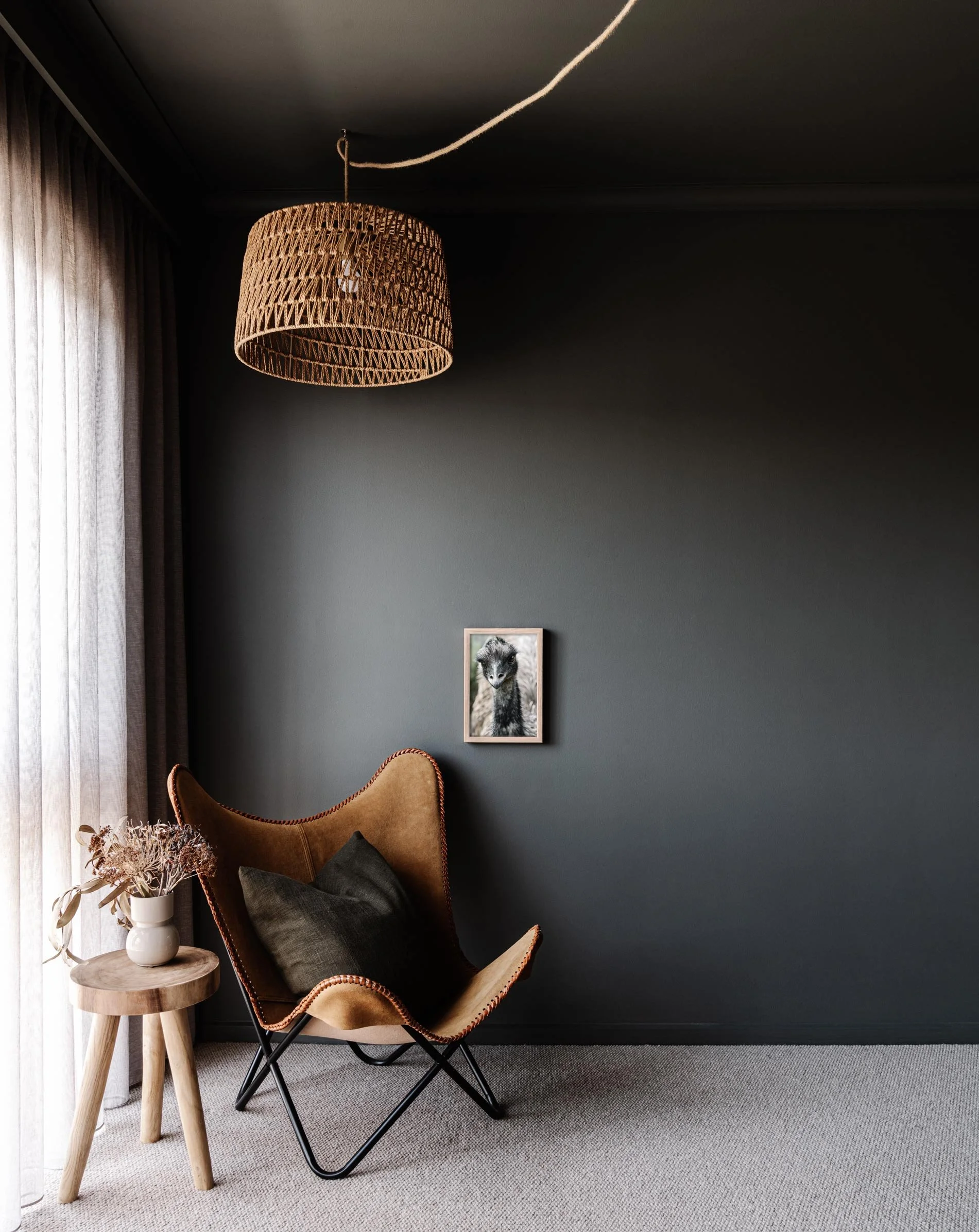 Extra small Alma the emu print on a dark wall above a leather chair