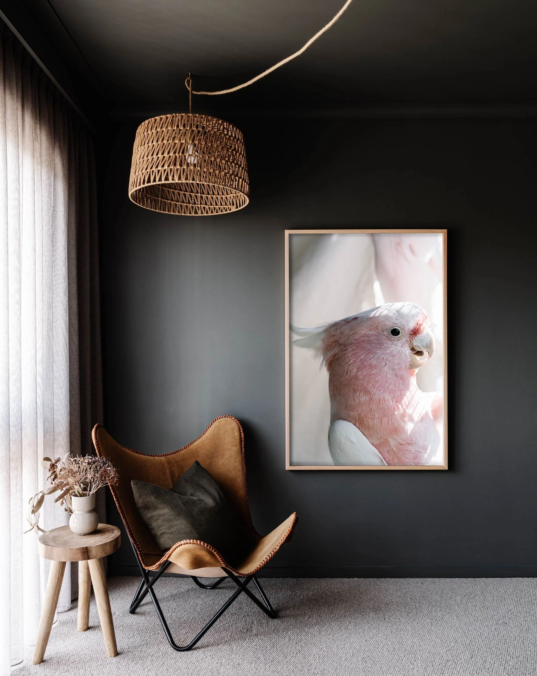 Framed wall print of Birdy Num Nums the Cockatoo for Prints for Wildlife by Marnie Hawson