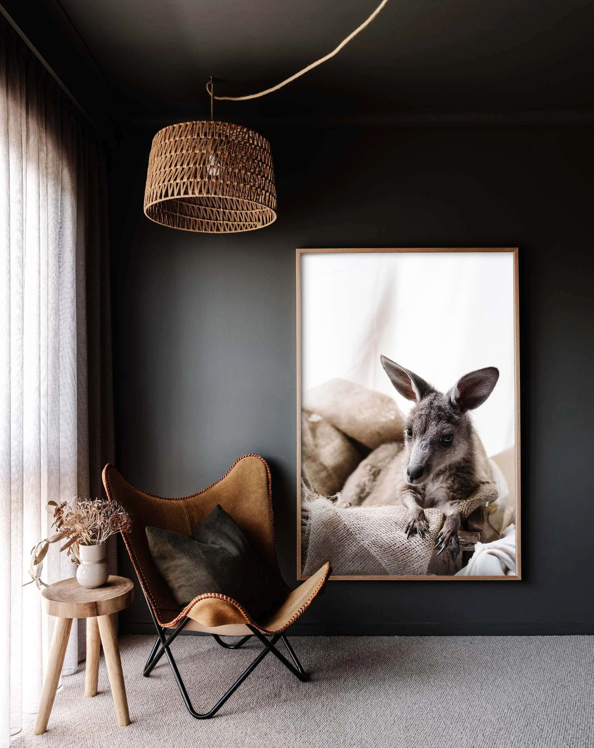 Framed wall print of Candy the Kangaroo for Prints for Wildlife by Marnie Hawson