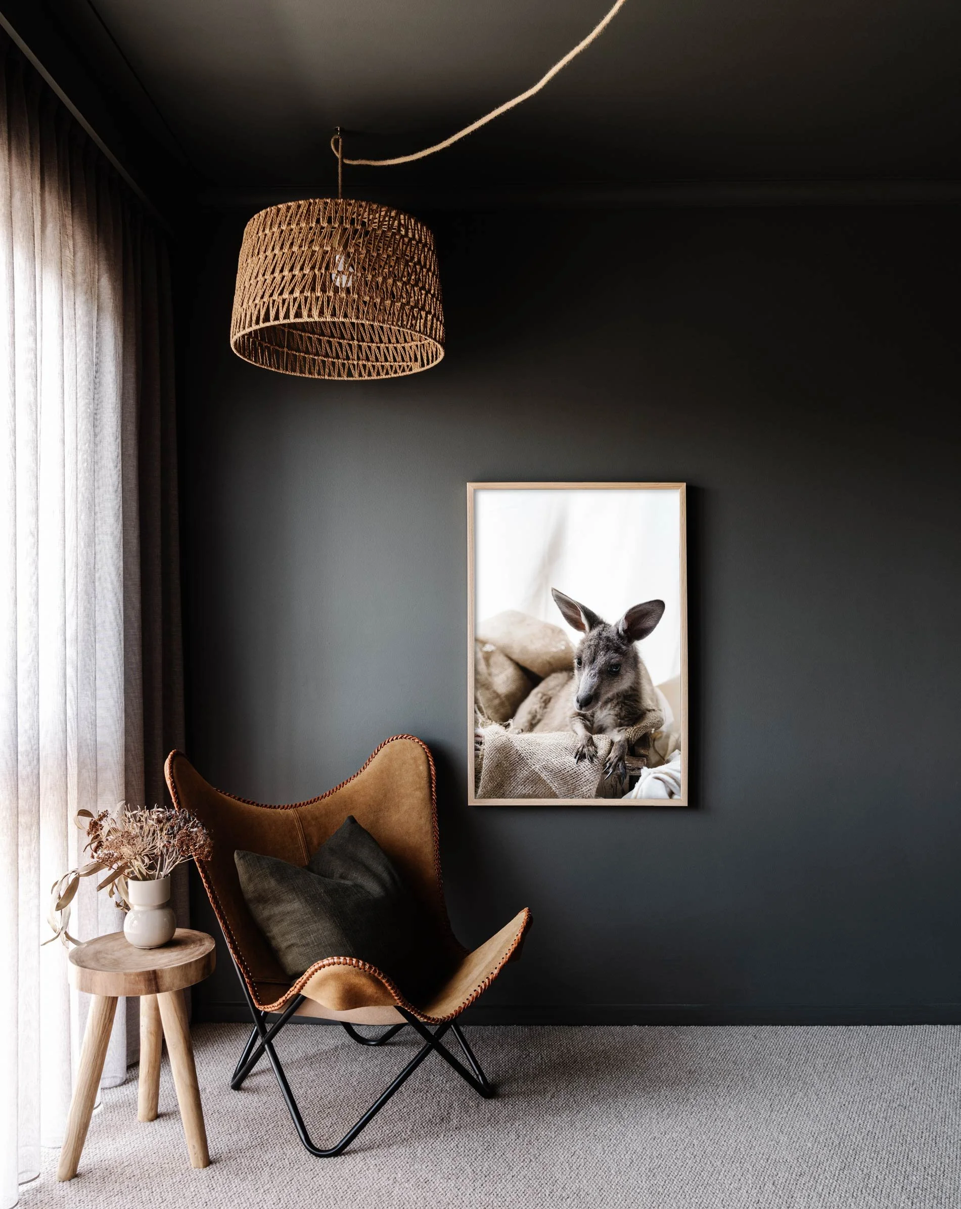 Framed wall print of Candy the Kangaroo for Prints for Wildlife by Marnie Hawson