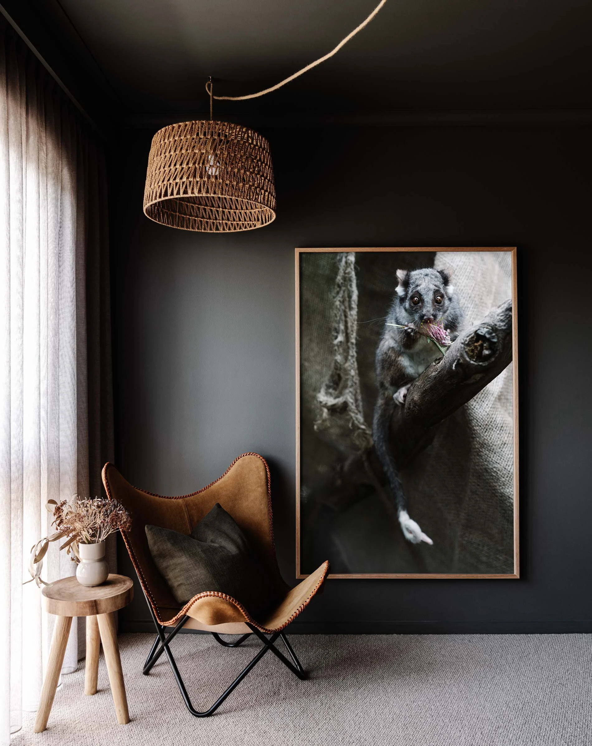 Framed wall print of Cliffy the Ringtail Possum for Prints for Wildlife by Marnie Hawson