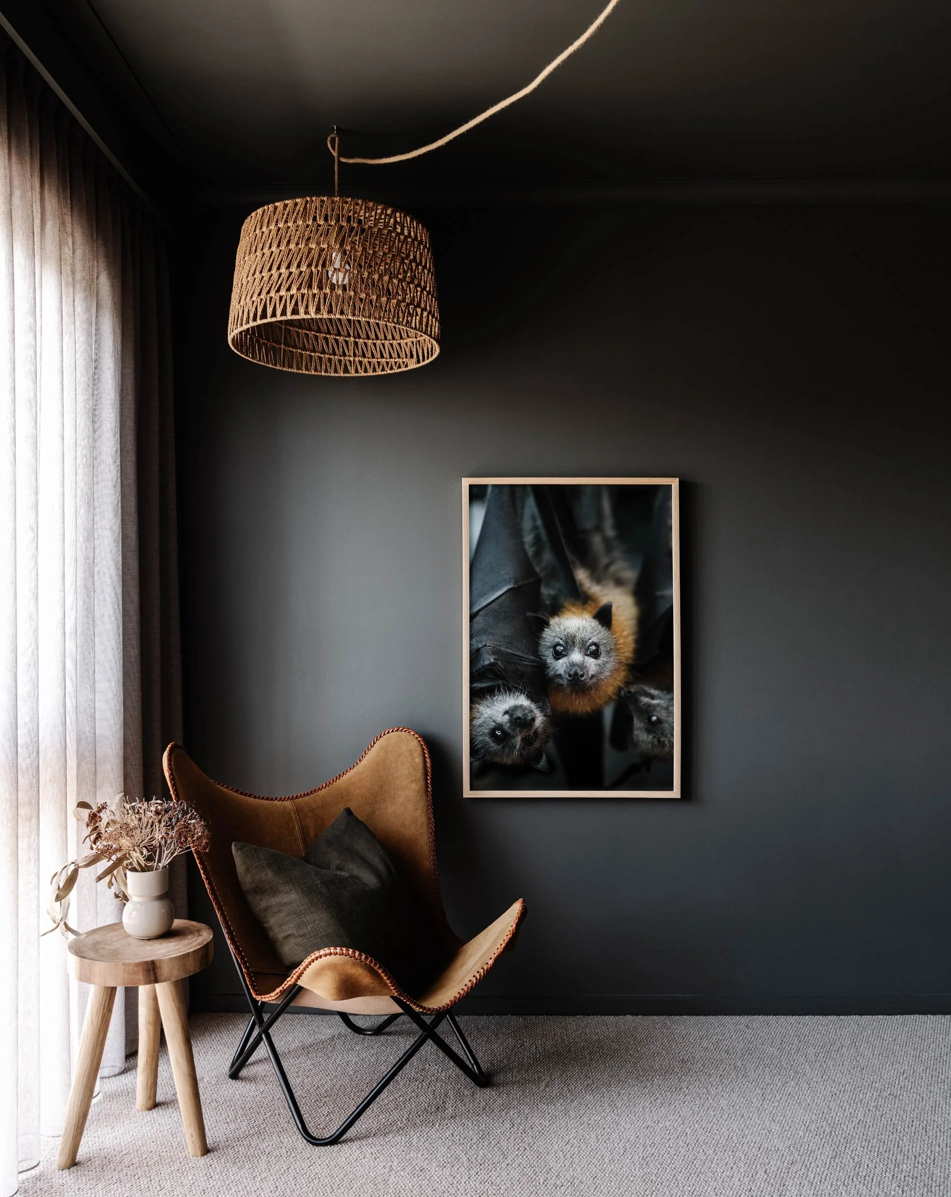 Framed wall print of ZacDan the Flying Fox for Prints for Wildlife by Marnie Hawson