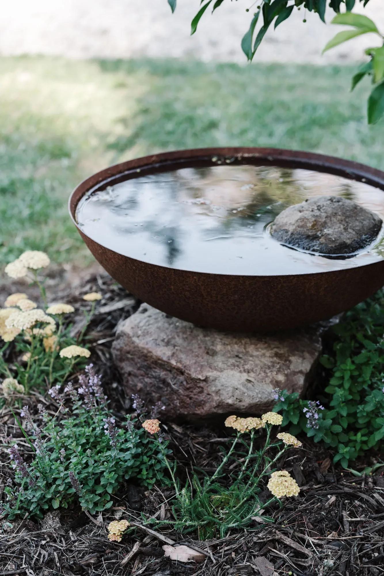 Rusted steel bird bath on a rock in Kylie Blade's garden, providing water for wildlife among groundcovers.