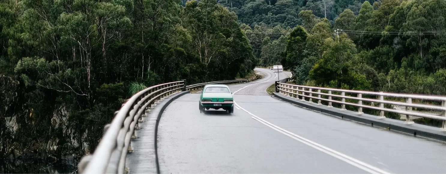 Car crossing a bridge through dense rainforest