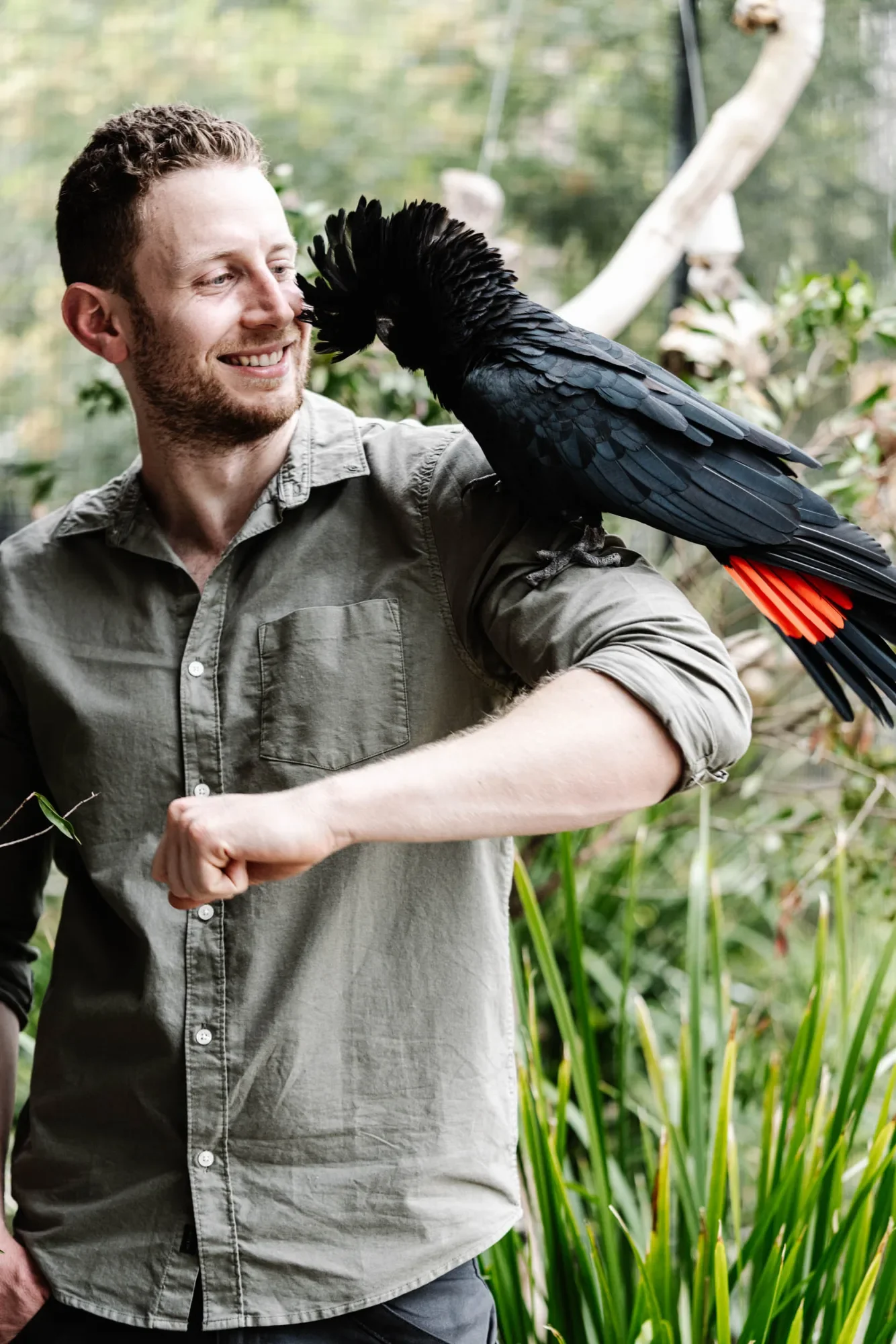 A man holding a red-tailed black cockatoo on his arm at Zambi Wildlife Sanctuary.
