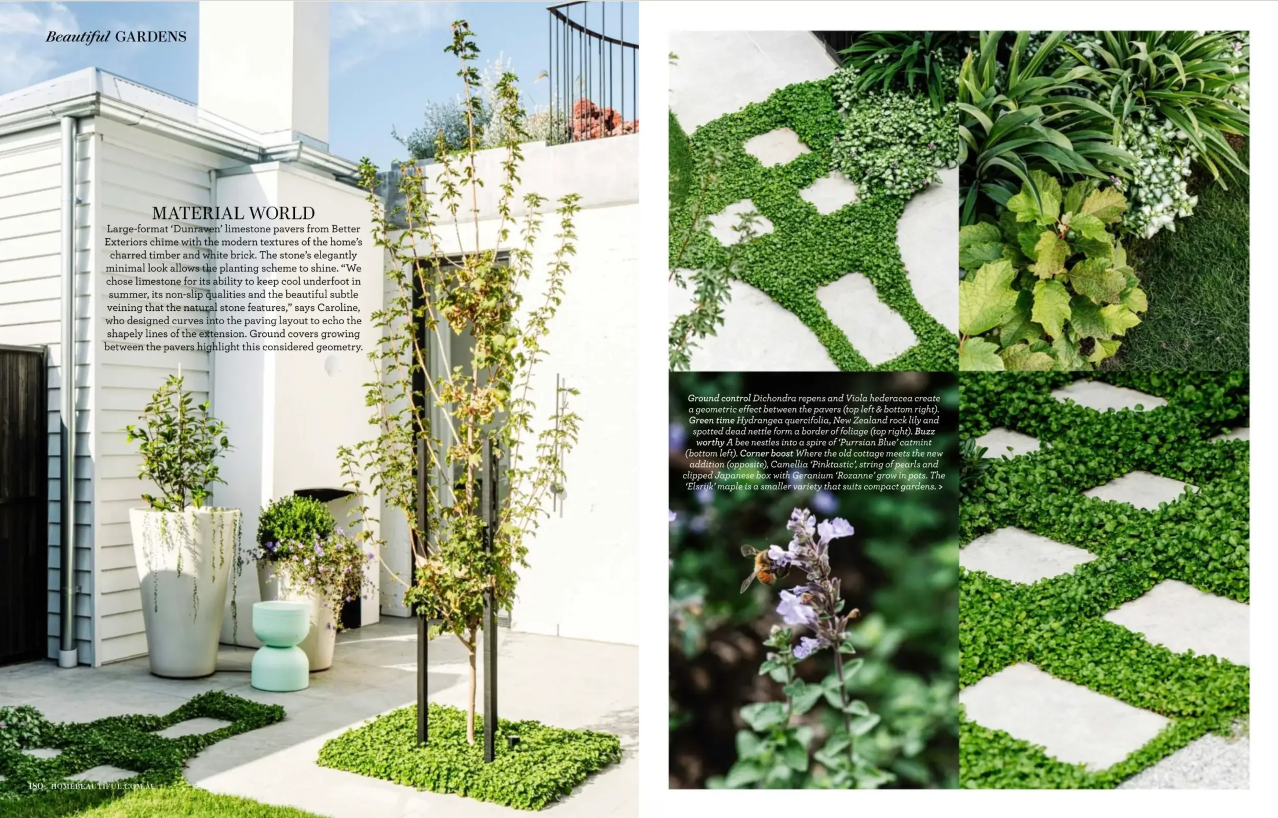 Home Beautiful spread showing the Curvy Cottage courtyard garden
