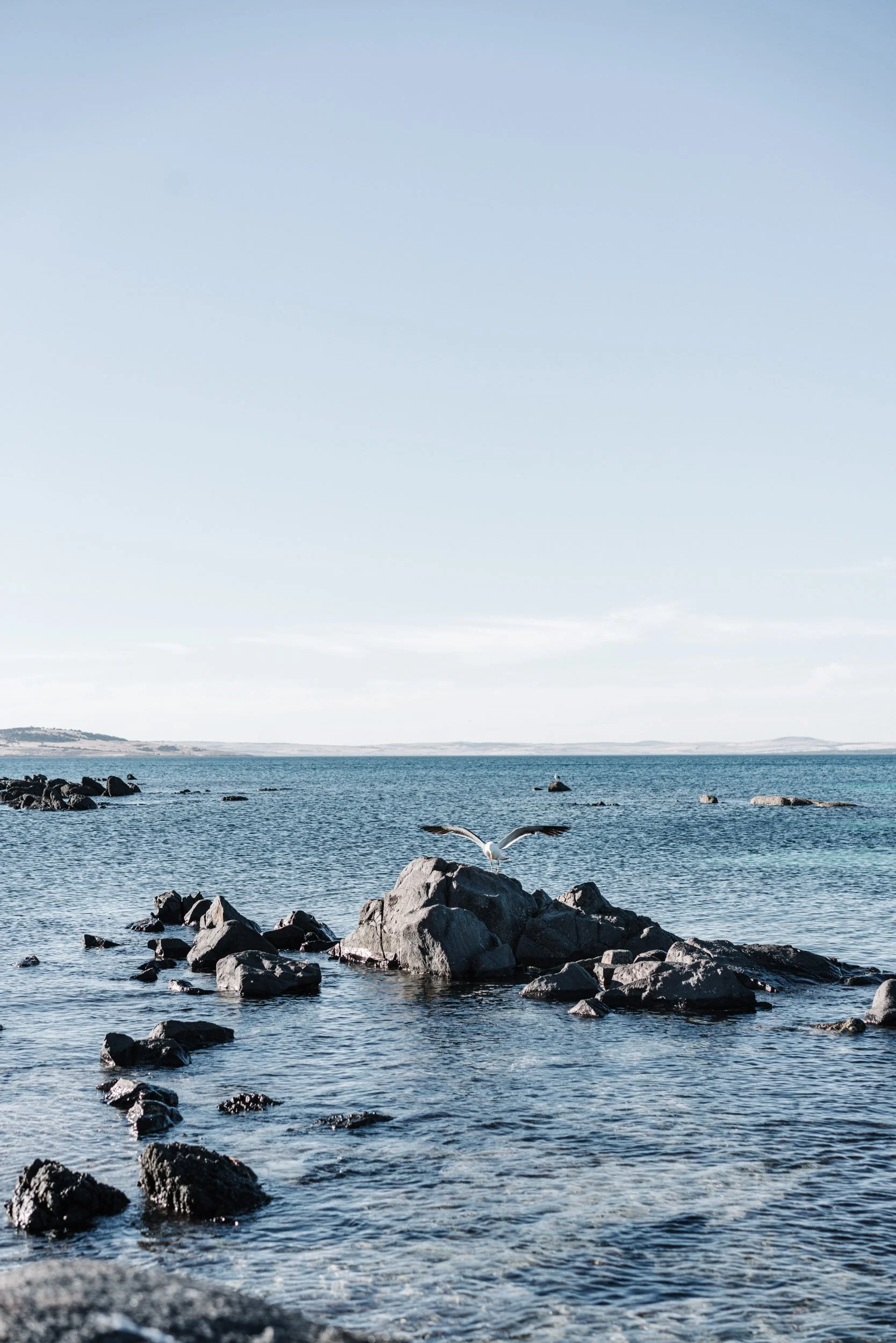 Calm blue ocean with dark, jagged rocks in the foreground and a bird flying above the central rock formation under a clear sky.
