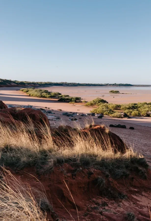 Red earth cliffs and grasses above a tidal flat