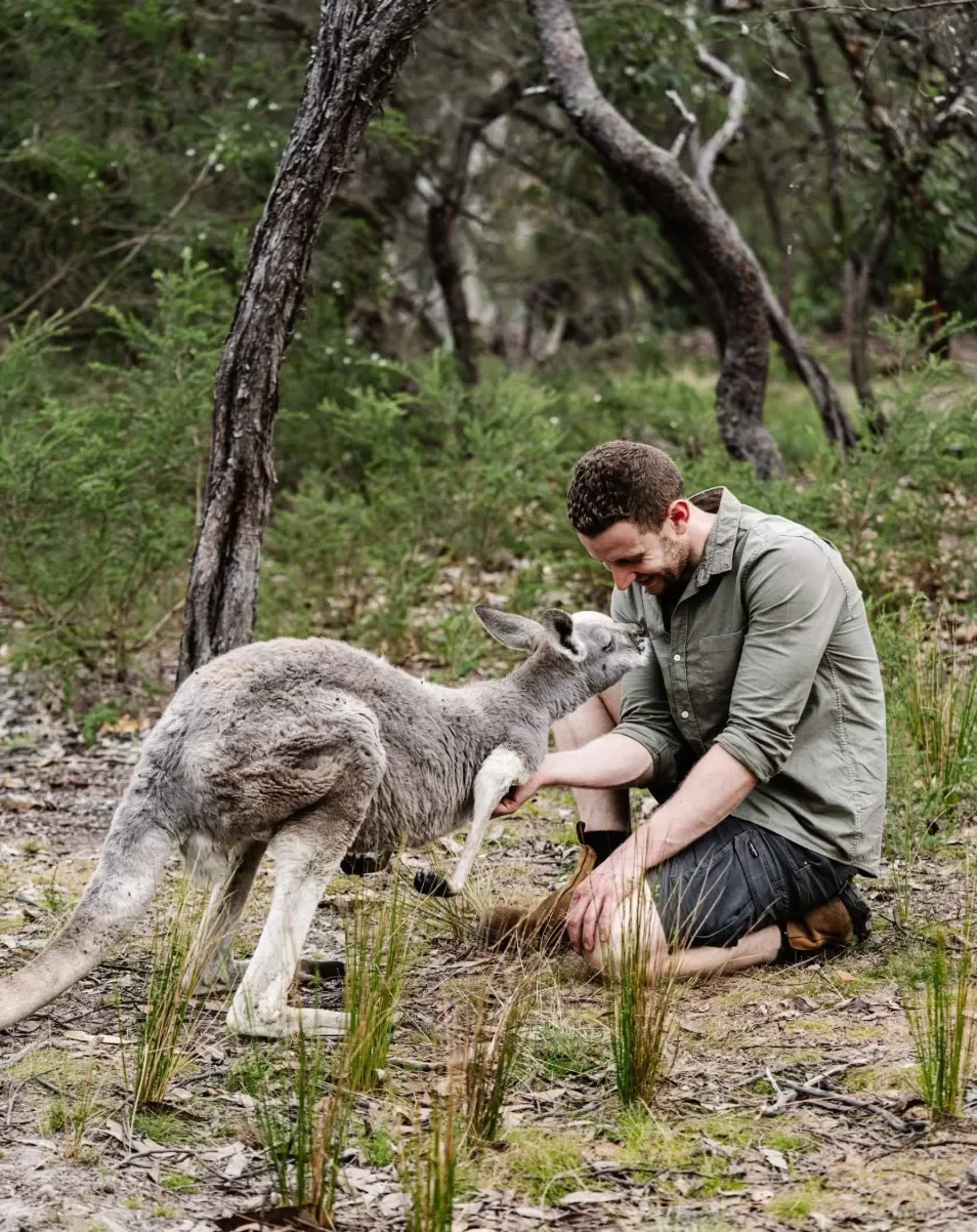 Man crouching beside a kangaroo at Zambi Wildlife Sanctuary