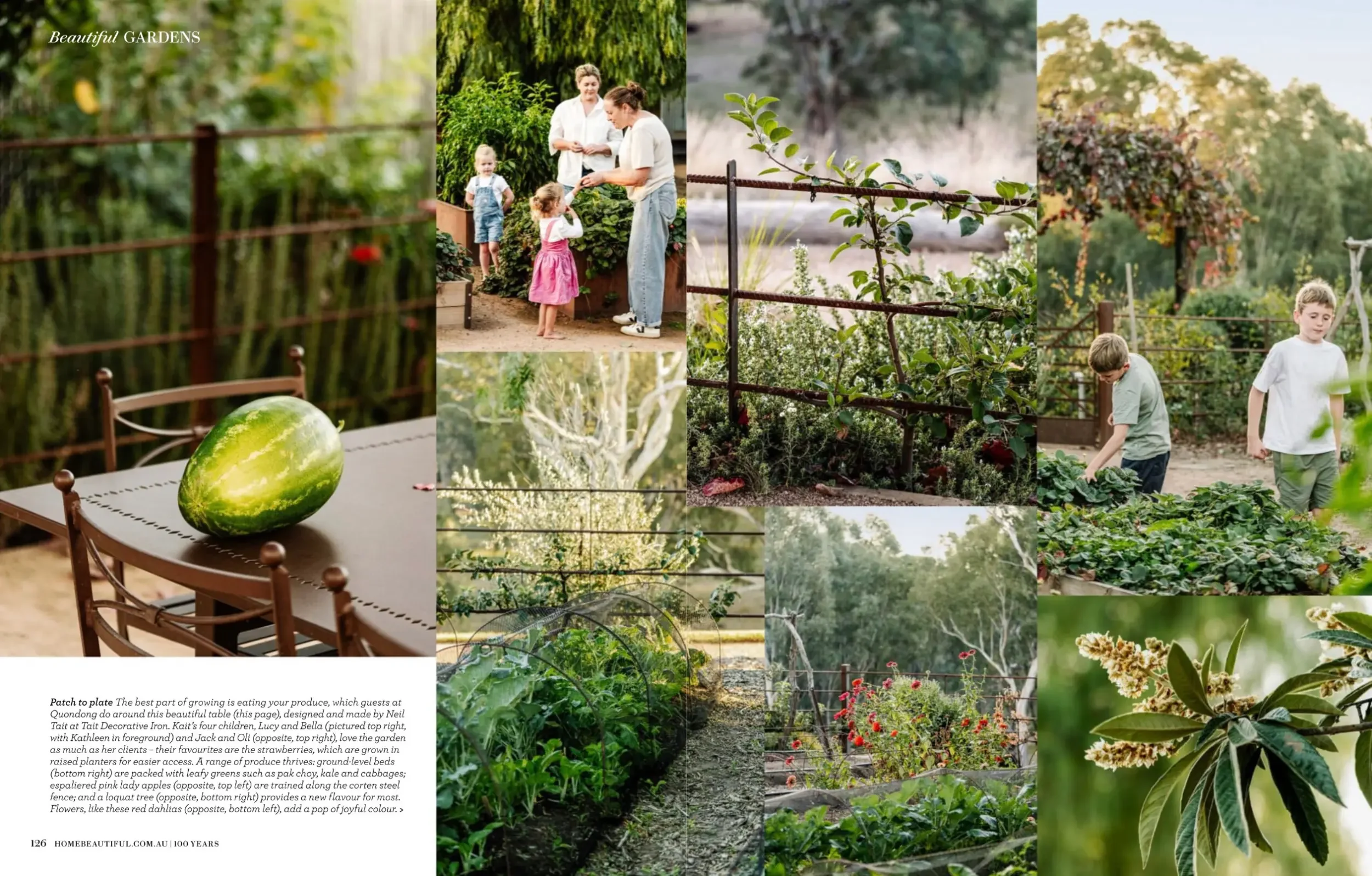 Home Beautiful spread showing the Quondong owners and vegetable garden