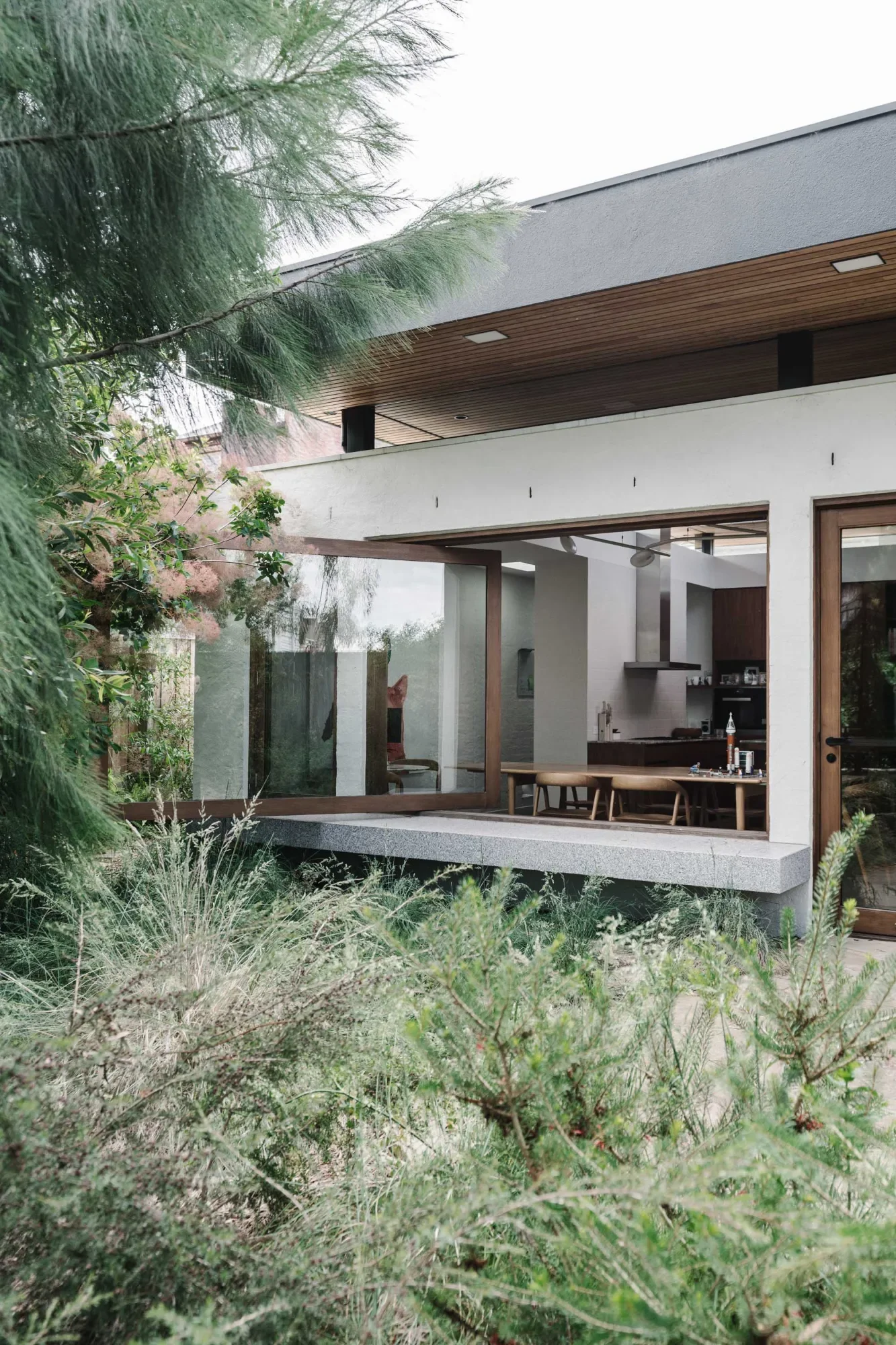 Timber-and-glass house framed by layered native planting by Sam Cox.