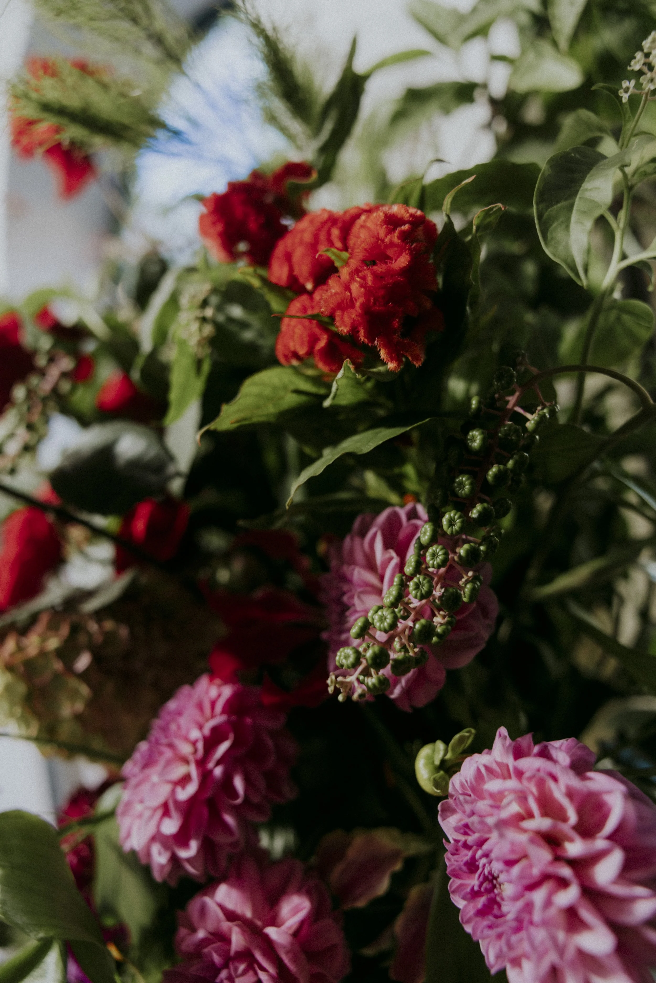 Close-up of pink and red garden flowers with green leaves and a slightly blurred background.