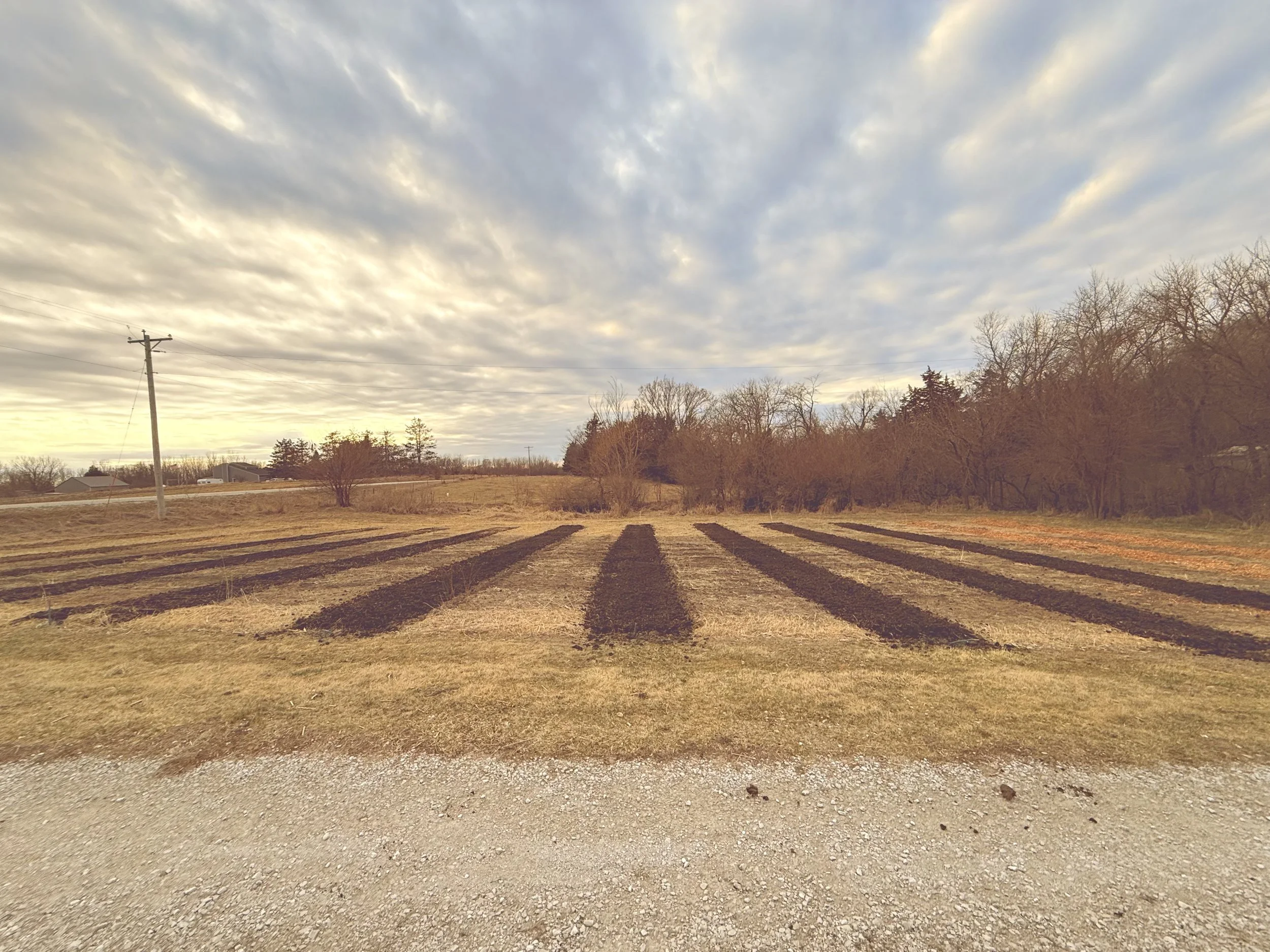 Rural farmland with rows of freshly plowed dark soil, yellowed grass, a utility pole on the left, and leafless trees under a partly cloudy sky.