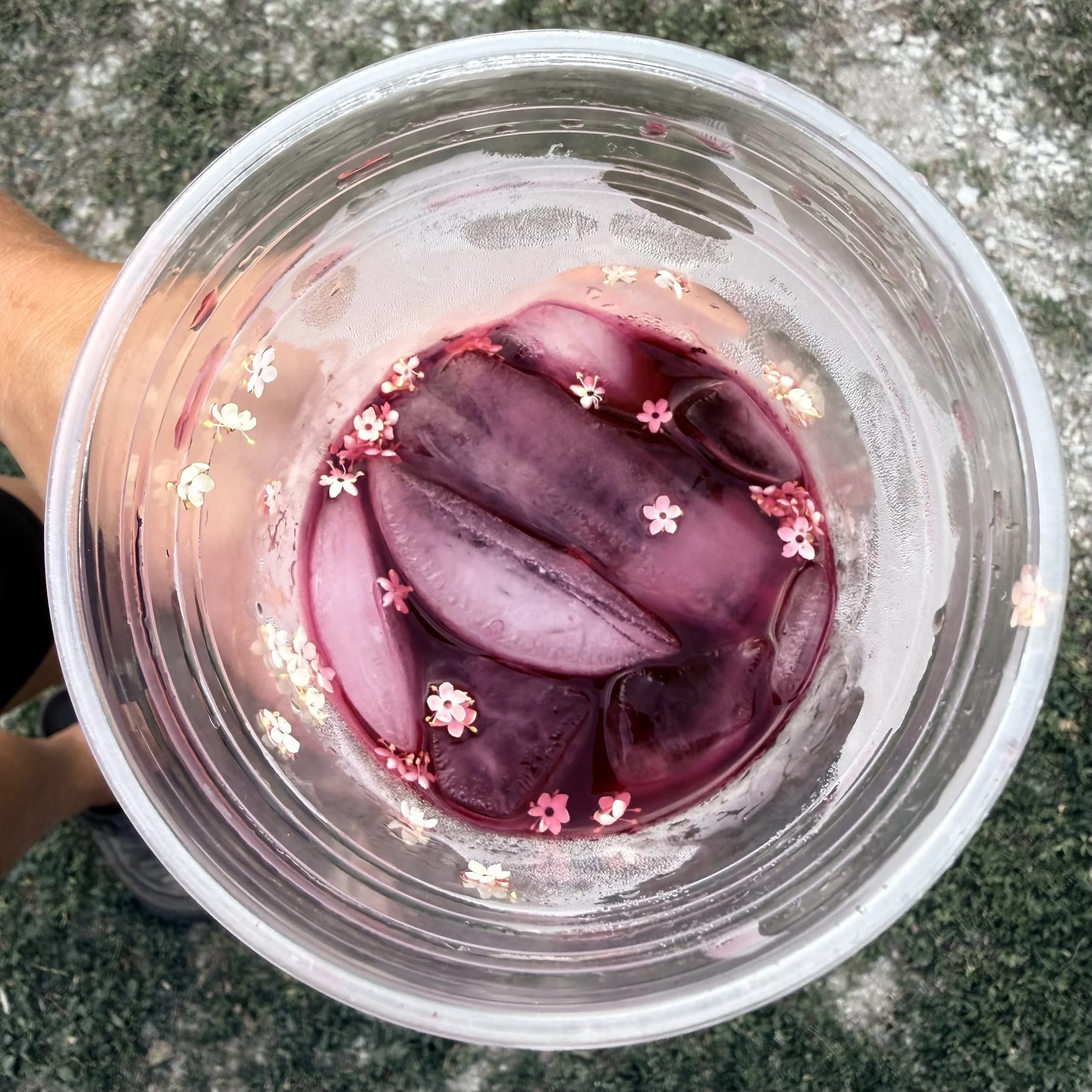 Elderberry Lemonade drink