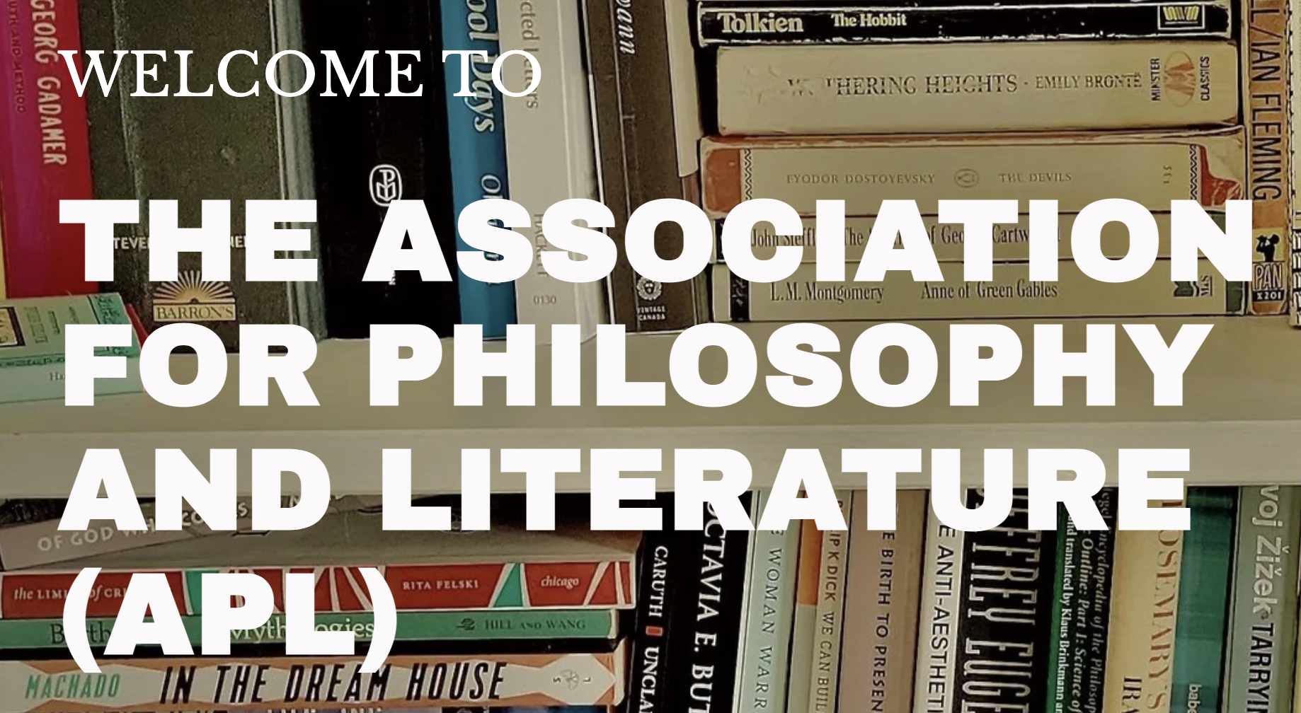Annual conference of the Association for Philosophy and Literature