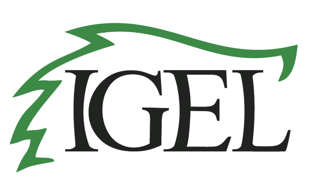 Annual Conference of the International Society for the Empirical Study of Literature (IGEL)