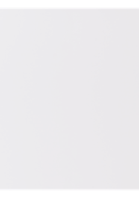 Flat face 2pac door in white