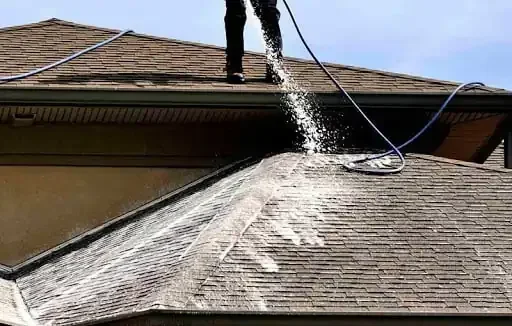 Chemical soft washing roof Lake Macquarie