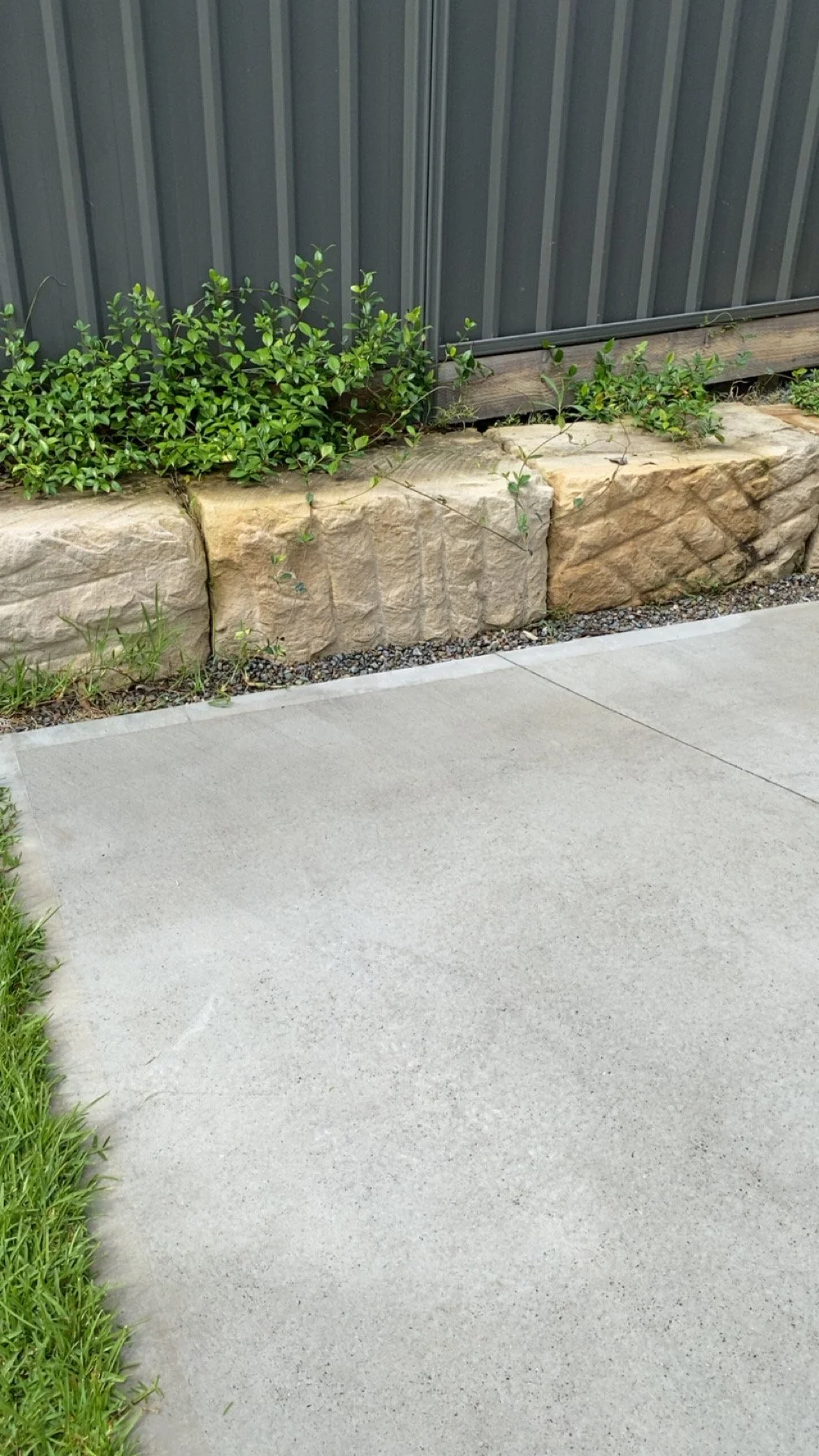 A concrete sidewalk border with a row of large rocks and green bushes along a corrugated metal fence.