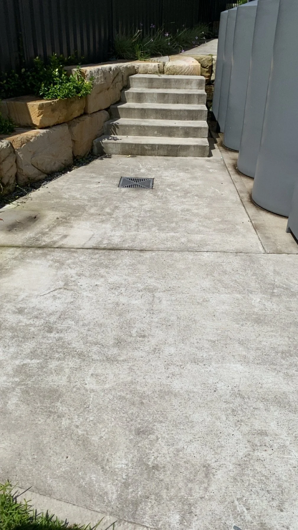 Concrete sidewalk leading up to a small set of five stairs surrounded by plants, rocks, and large gray trash cans, with a black fence in the background.