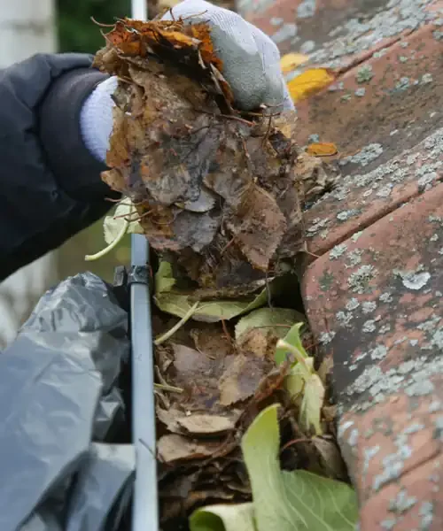 Gutter cleaning service Central Coast NSW