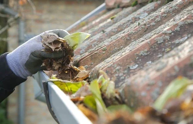 Gutter Cleaning