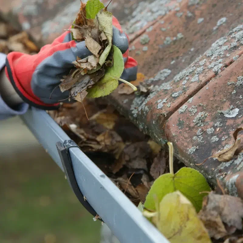 Professional gutter cleaning and downpipe flush Central Coast NSW by SparknBlast