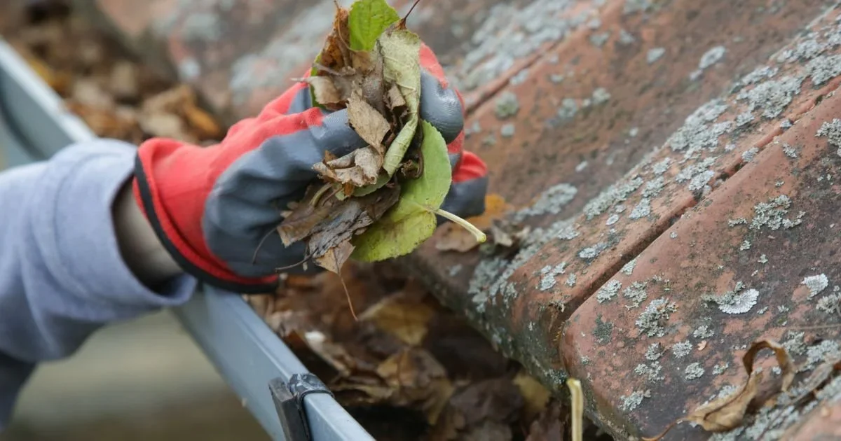 Professional gutter cleaning and downpipe flush Central Coast NSW by SparknBlast