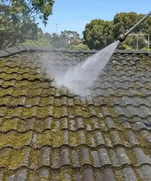 Roof pressure washing service Central Coast NSW