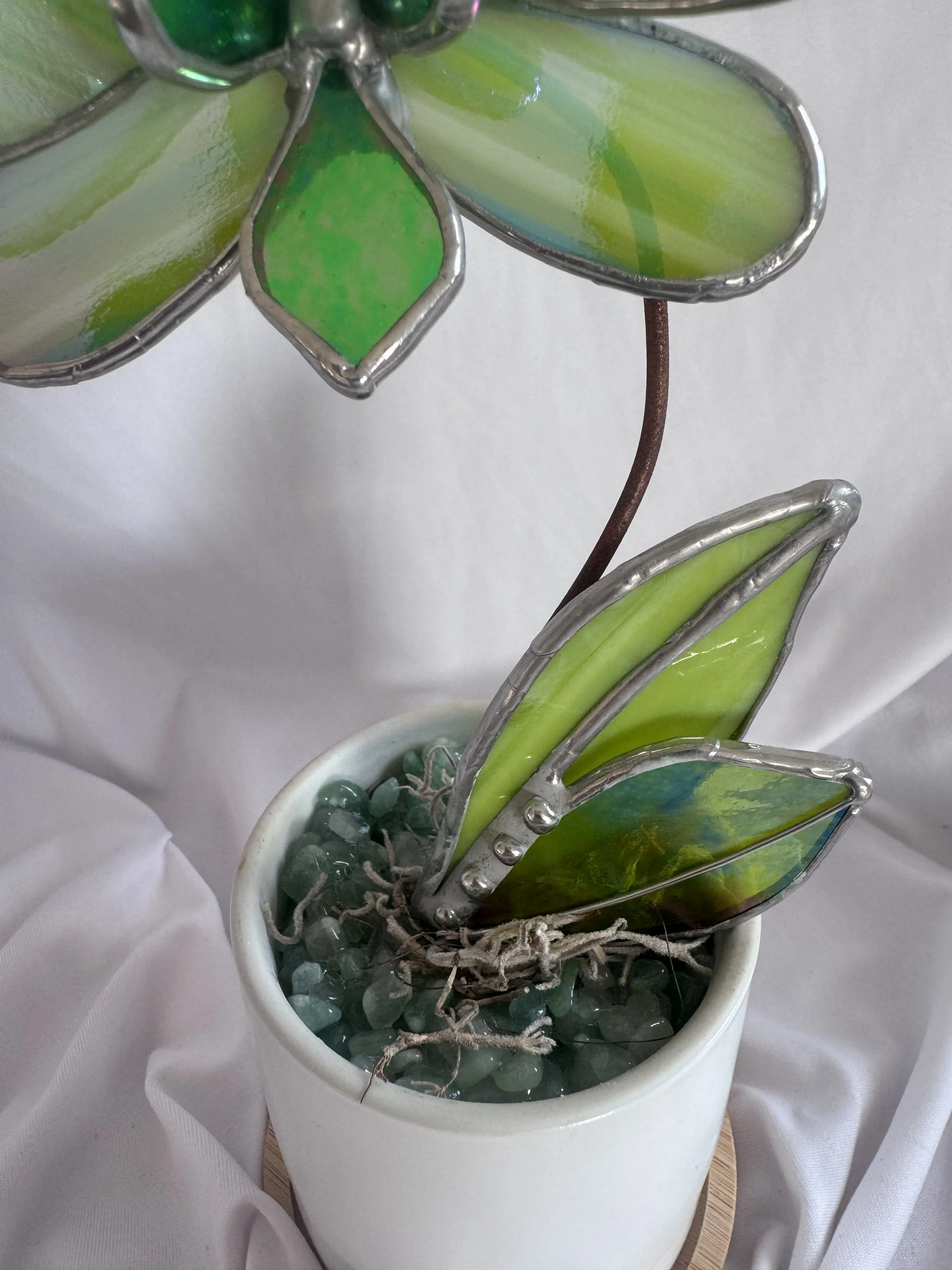 Green Pixie 3.jpg