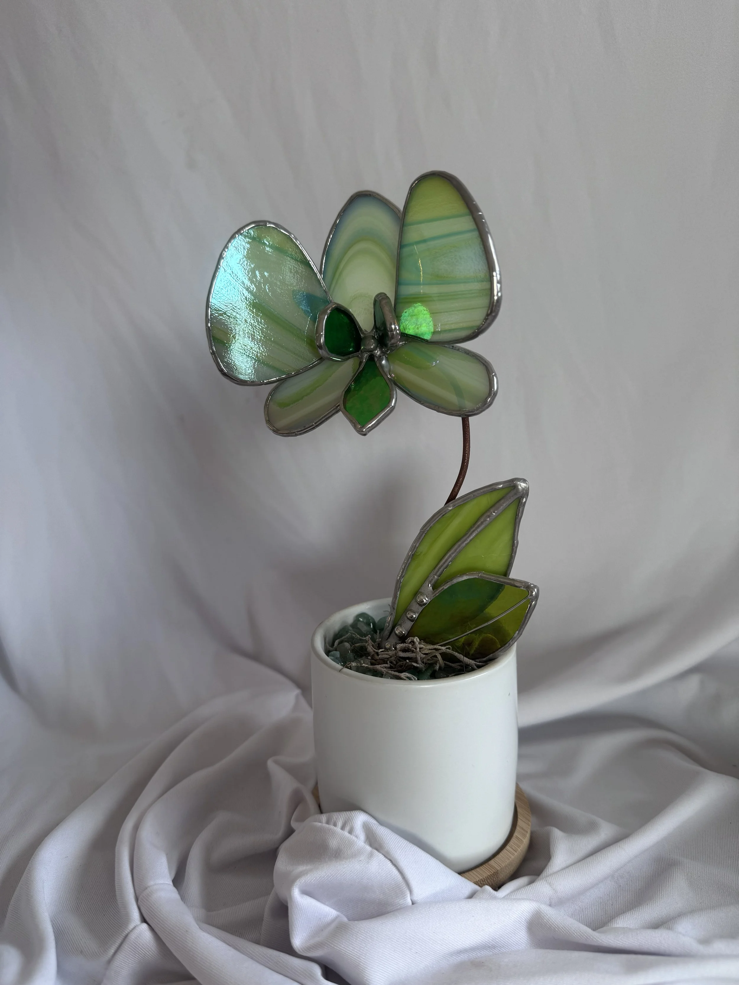 Green Pixie 2.jpg
