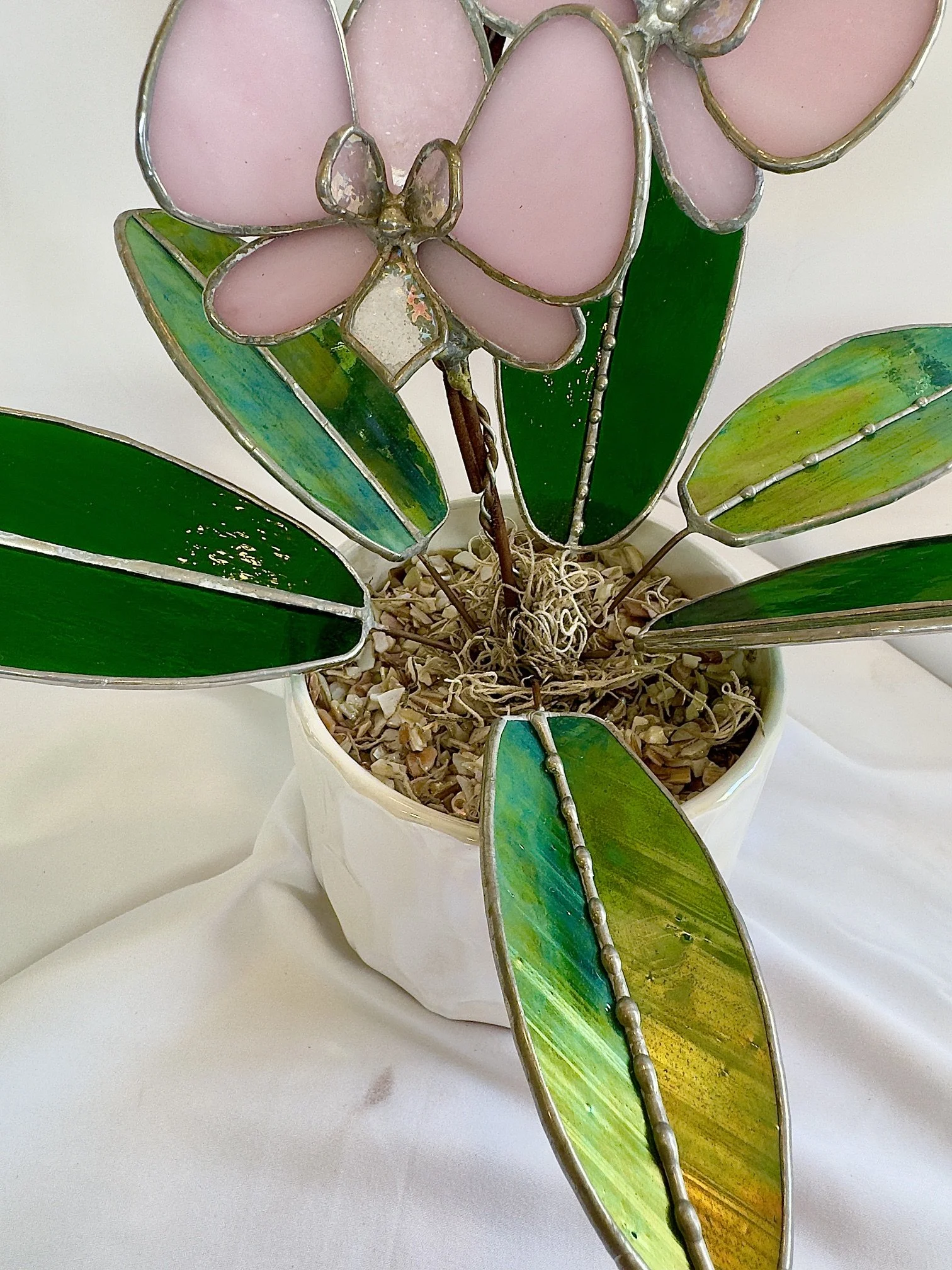 IMG_7775.jpg