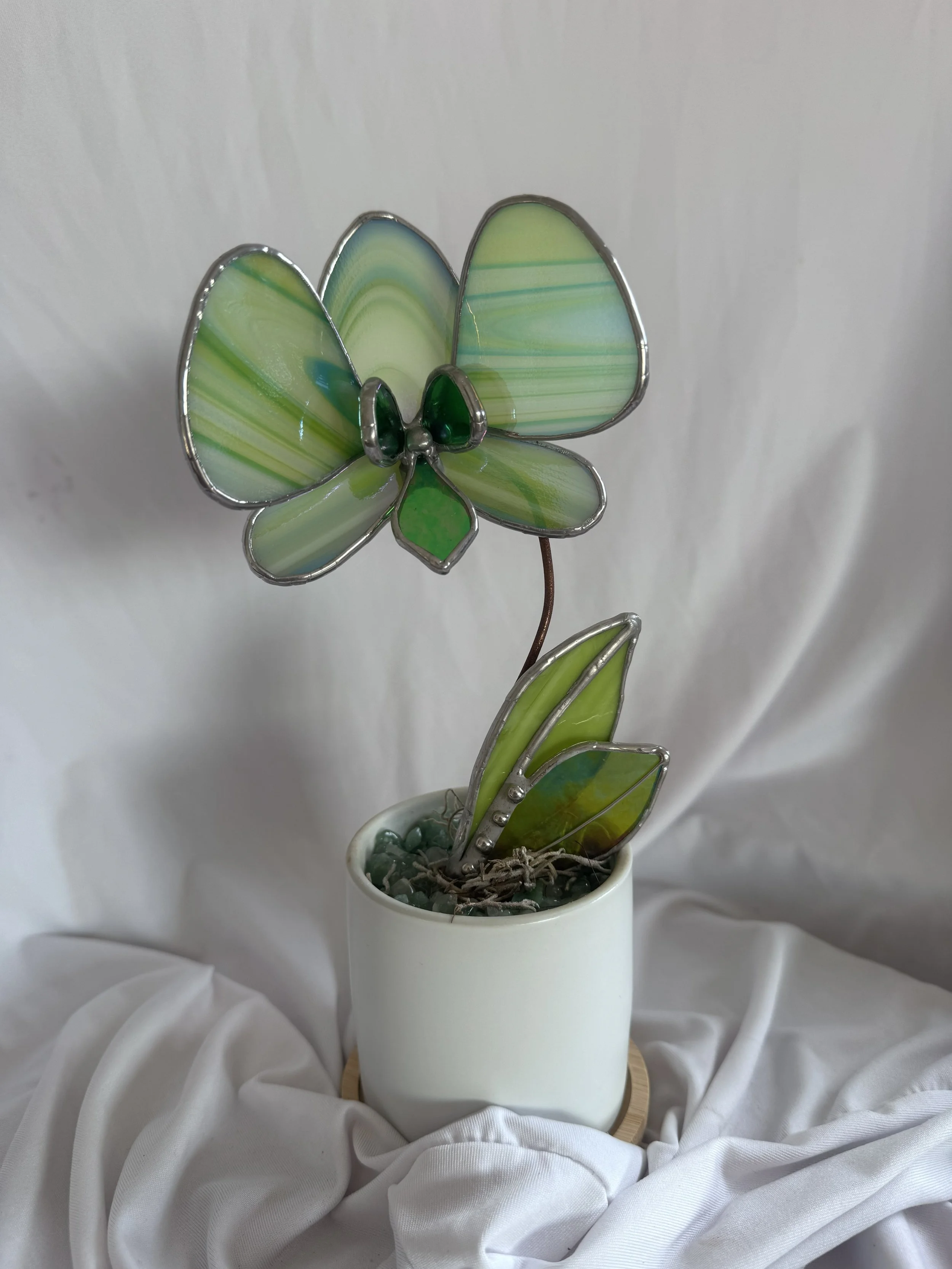 Green Pixie 1.jpg