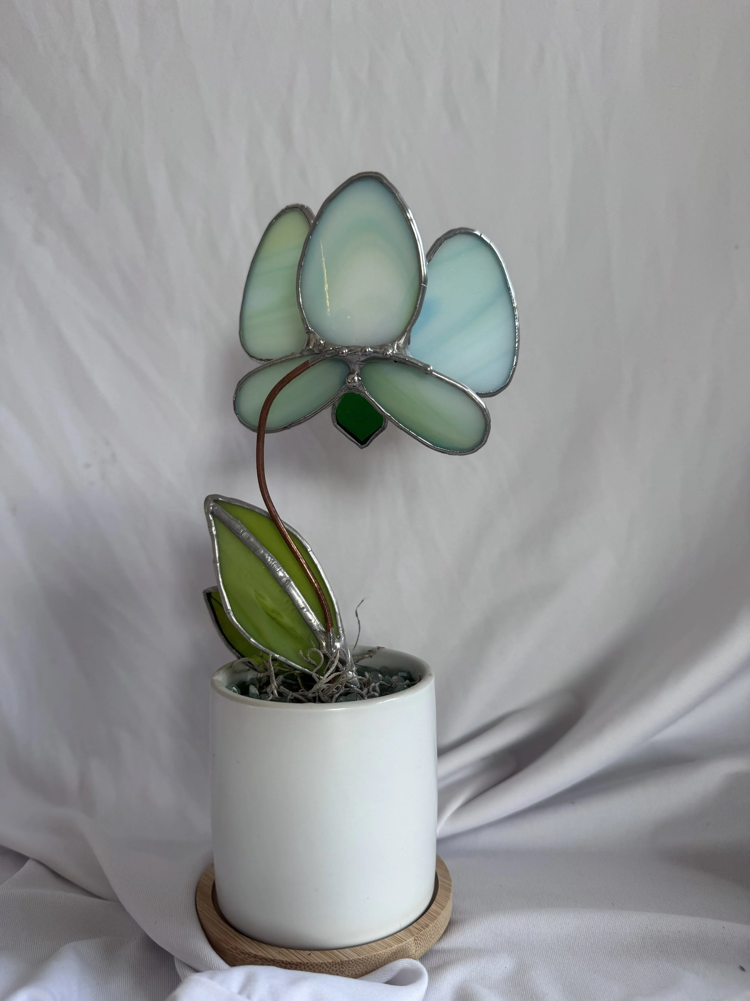 green Pixie 5.jpg