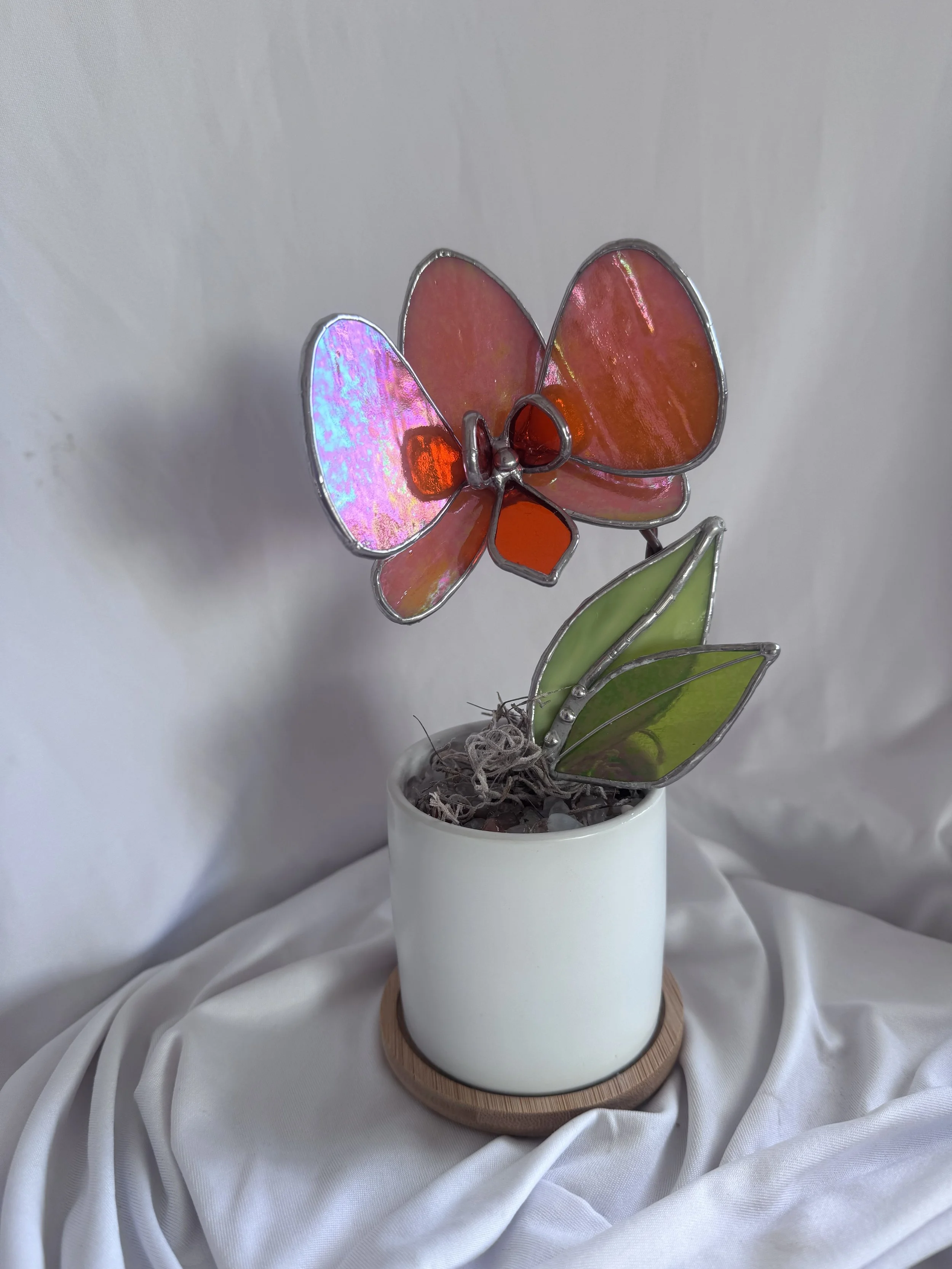 Orange Pixie 1.jpg