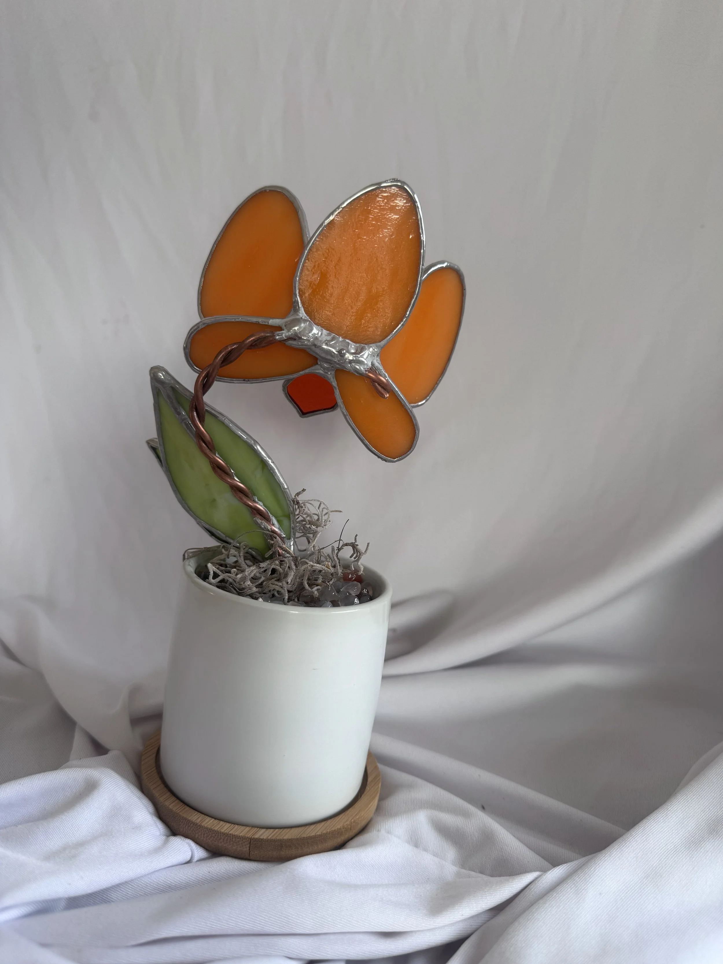 Orange Pixie 3.jpg