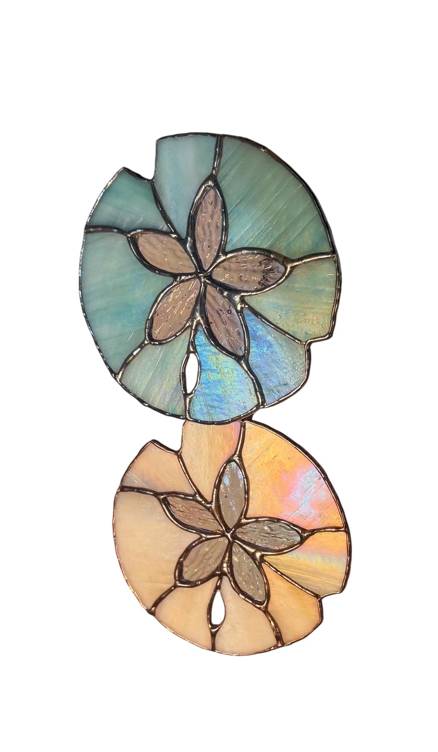 Colorful stained glass suncatchers featuring sand dollars