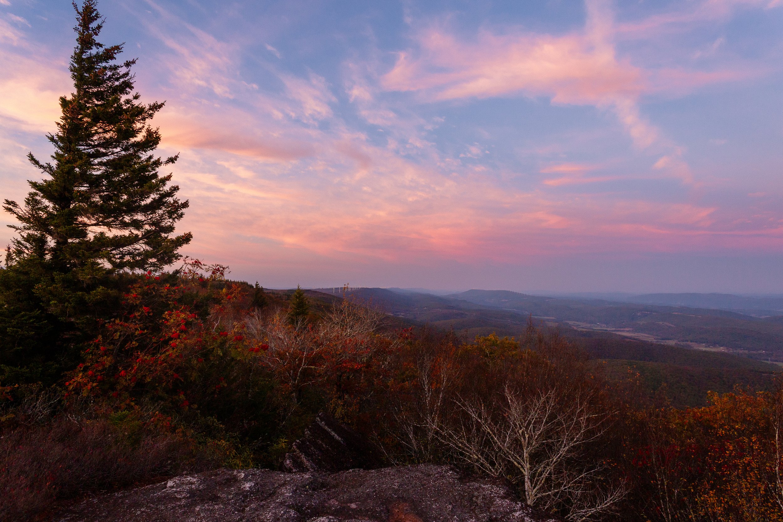 A scenic view of a sunset over rolling hills with colorful clouds in the sky, a large pine tree in the foreground, and autumn foliage.